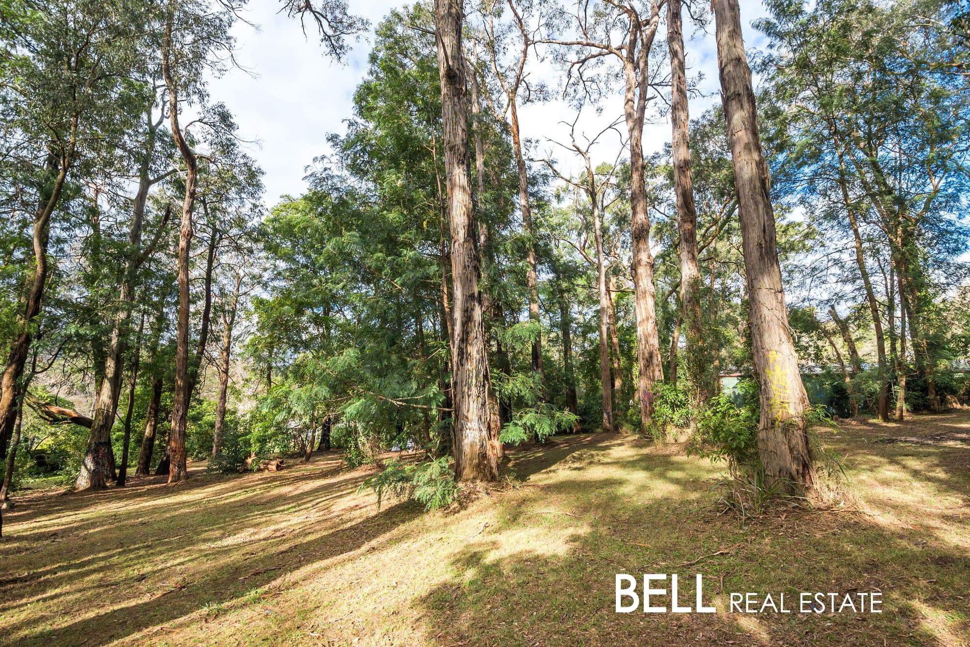 3 Mahony Street, UPWEY, Upwey - Thumbnail 7