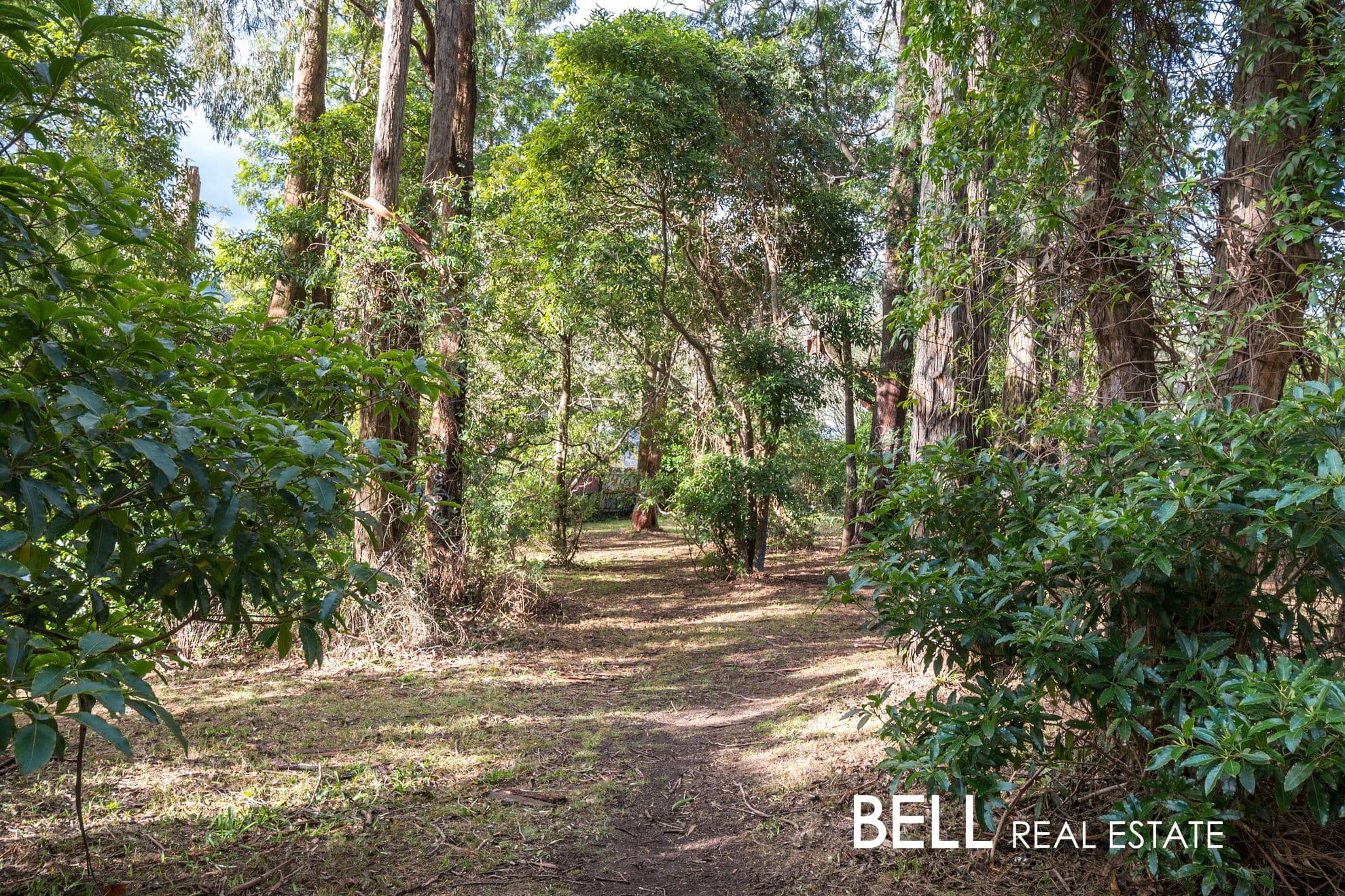3 Mahony Street, UPWEY, Upwey - Thumbnail 6