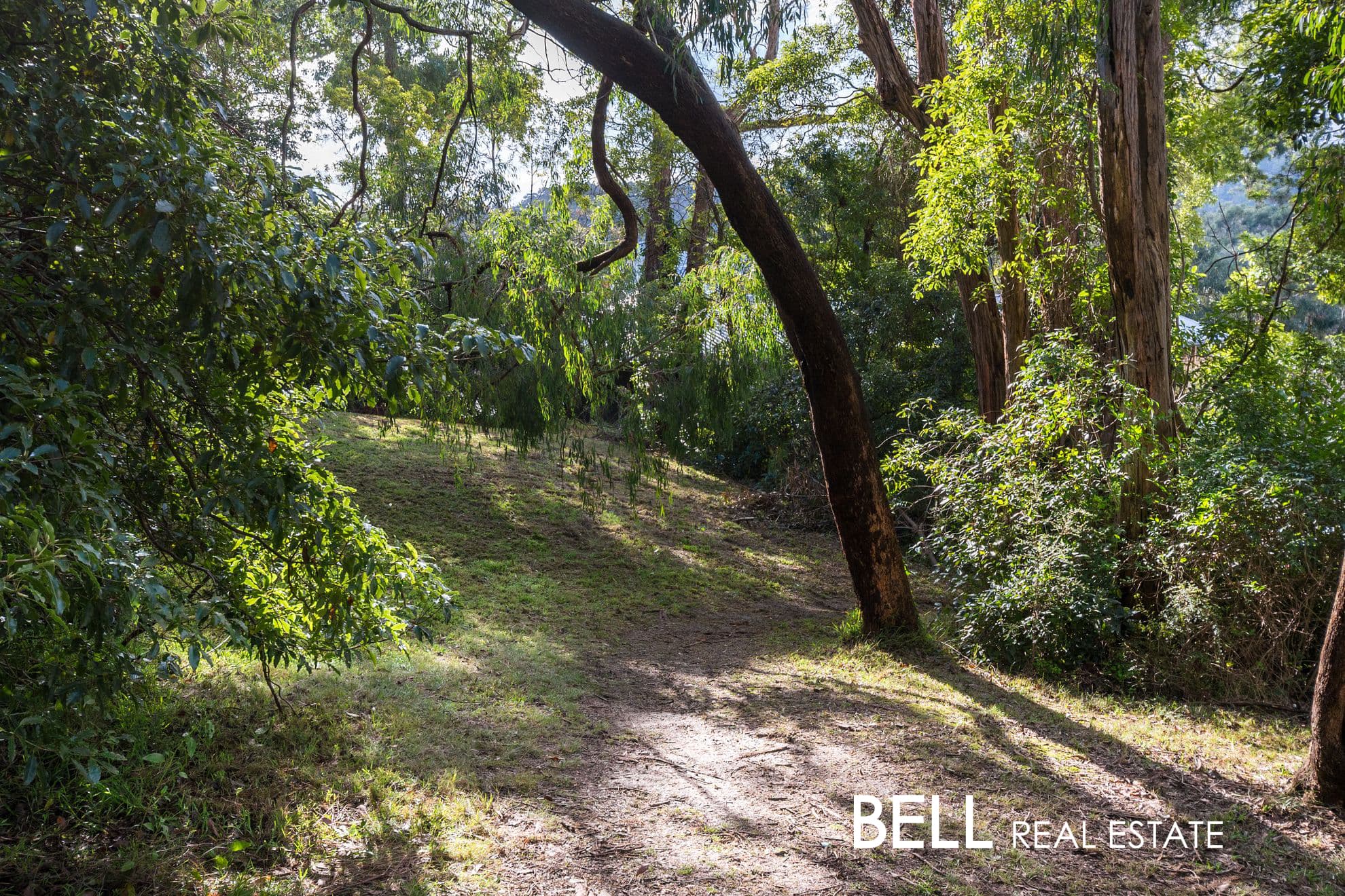 3 Mahony Street, UPWEY, Upwey - Thumbnail 3
