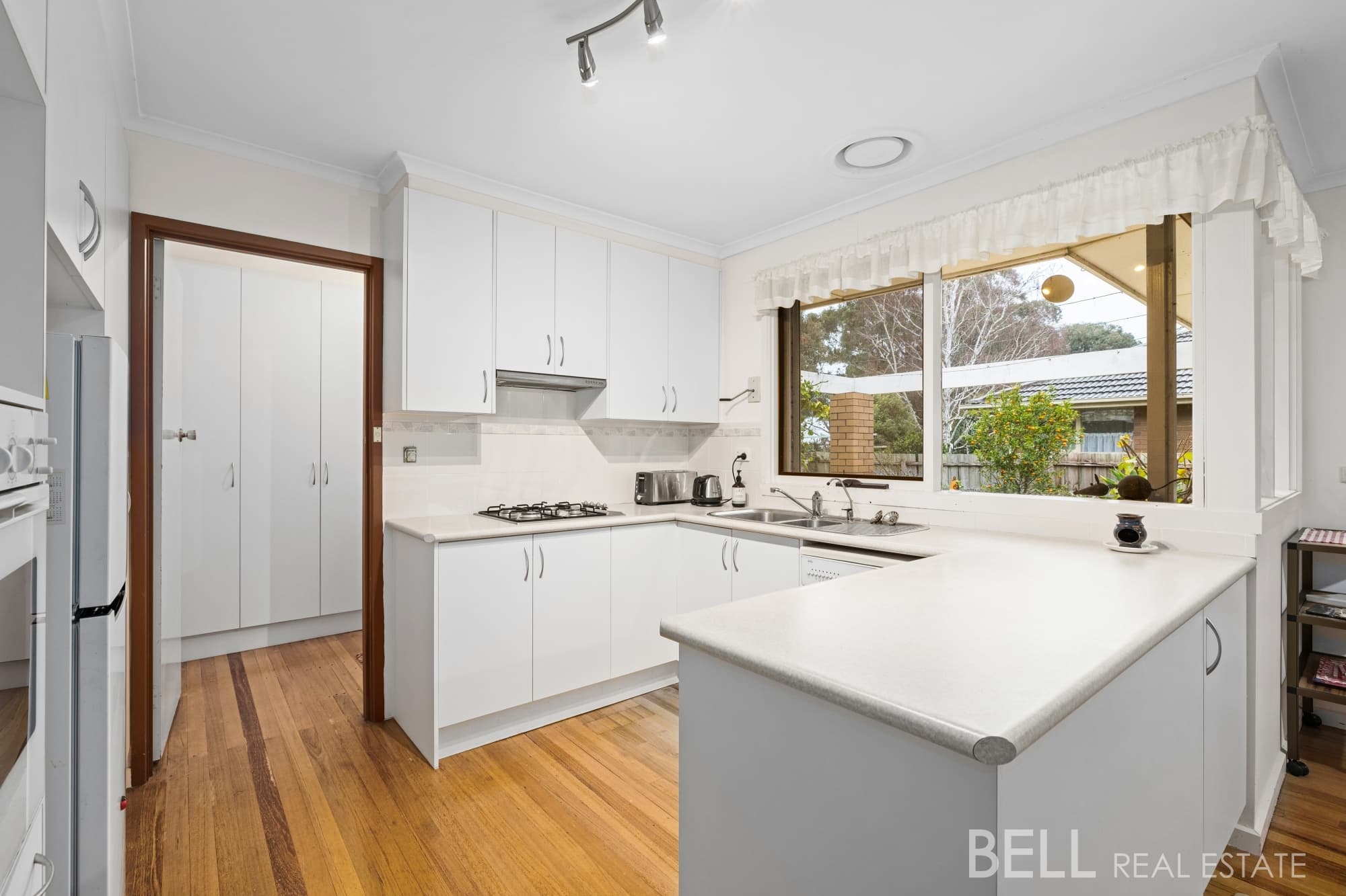 34 Sylvia Street, BLACKBURN SOUTH, Blackburn South - Thumbnail 5