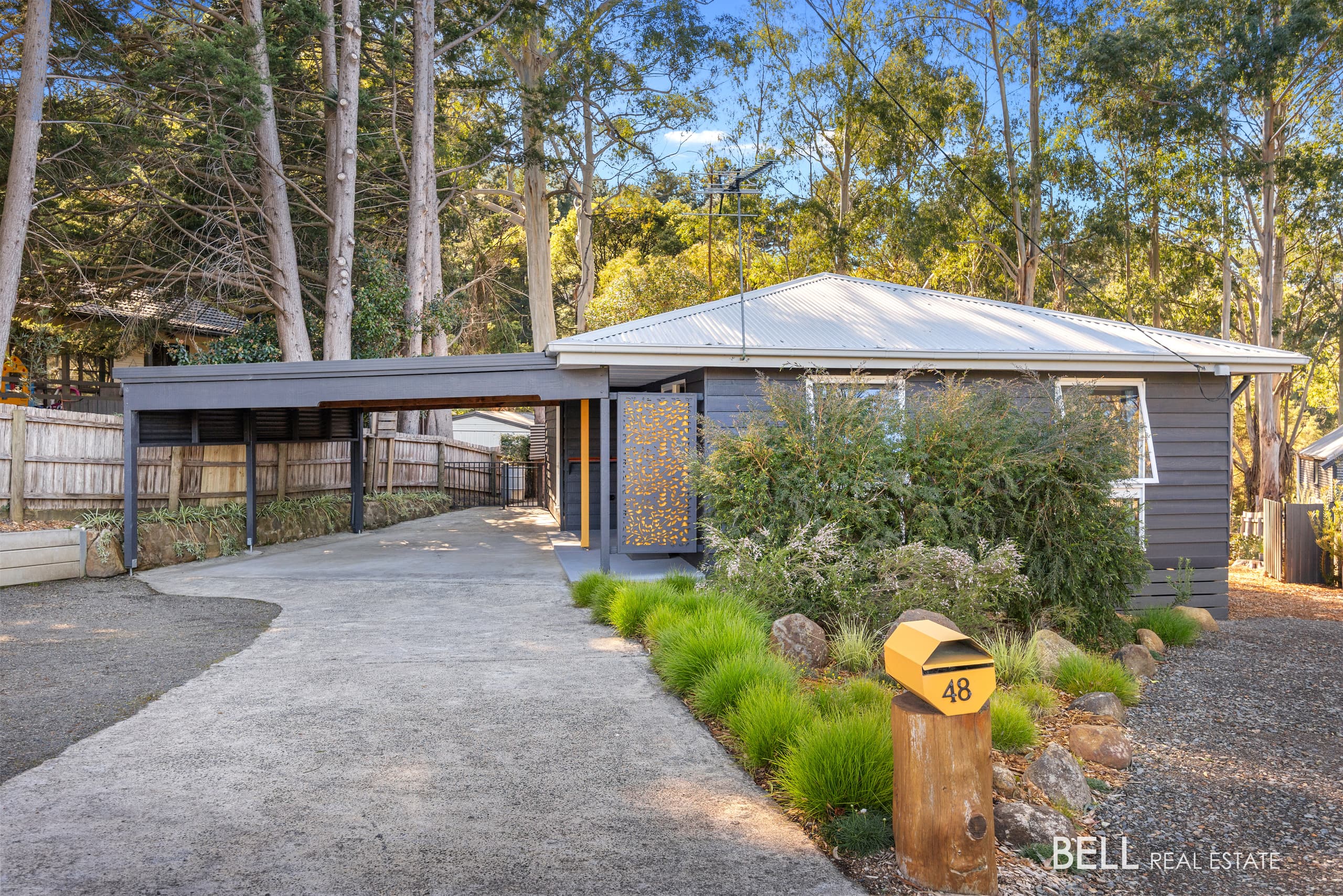 48 Carroll Avenue, MILLGROVE, Millgrove - Thumbnail 4