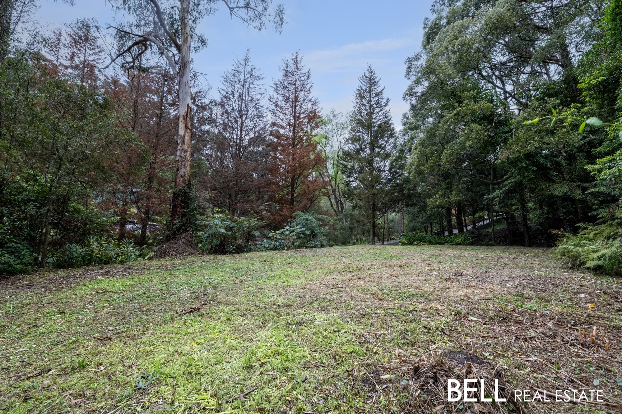 103 Belgrave-Gembrook Road, SELBY, Selby - Thumbnail 8