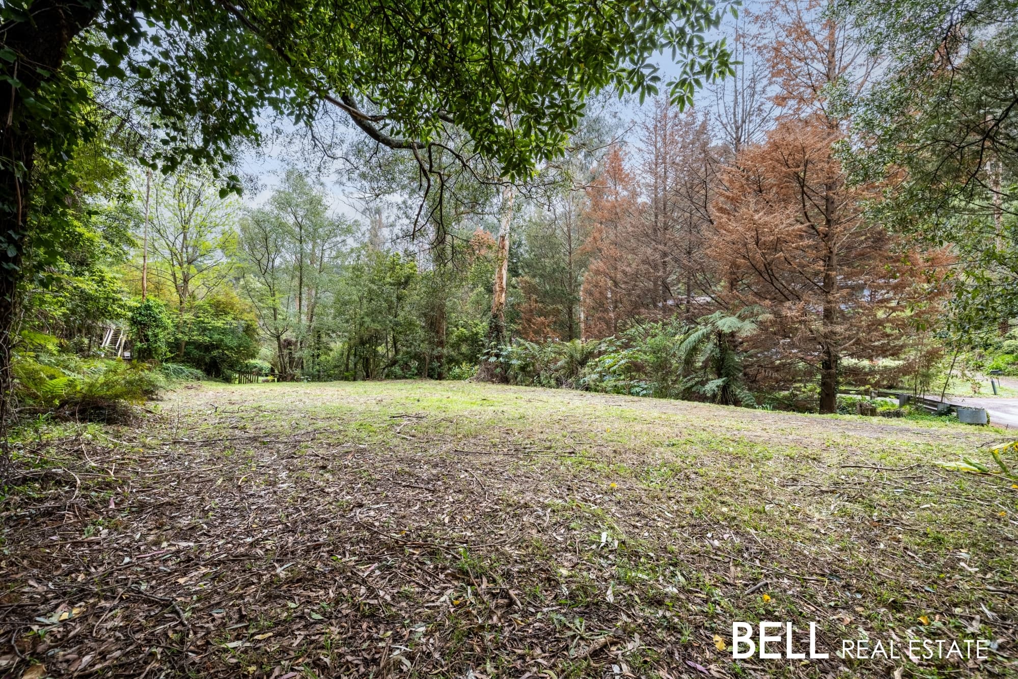 103 Belgrave-Gembrook Road, SELBY, Selby - Thumbnail 4