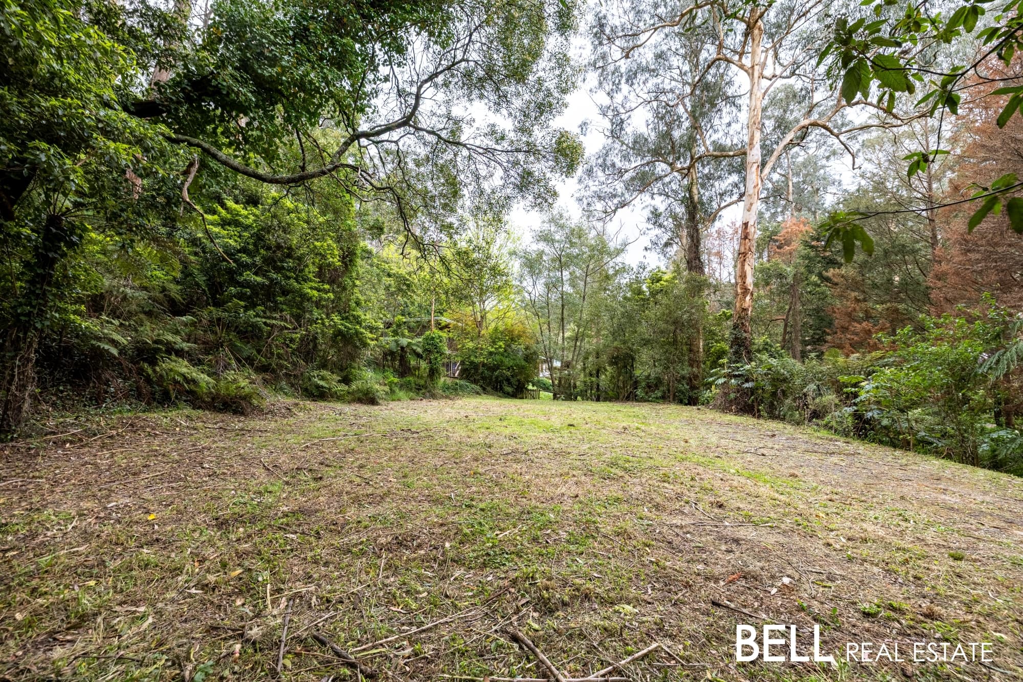 103 Belgrave-Gembrook Road, SELBY, Selby - Thumbnail 5