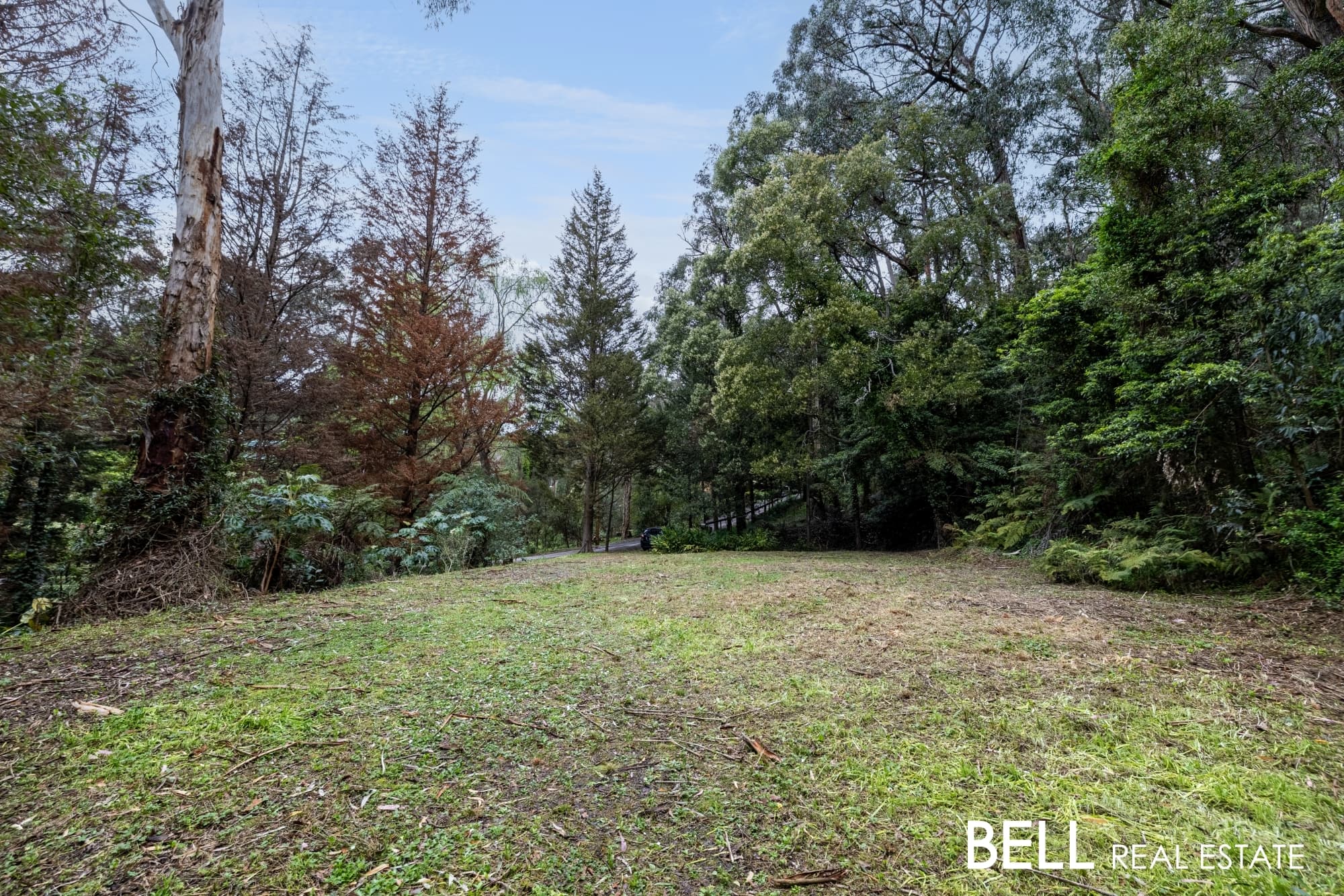 103 Belgrave-Gembrook Road, SELBY, Selby - Thumbnail 7