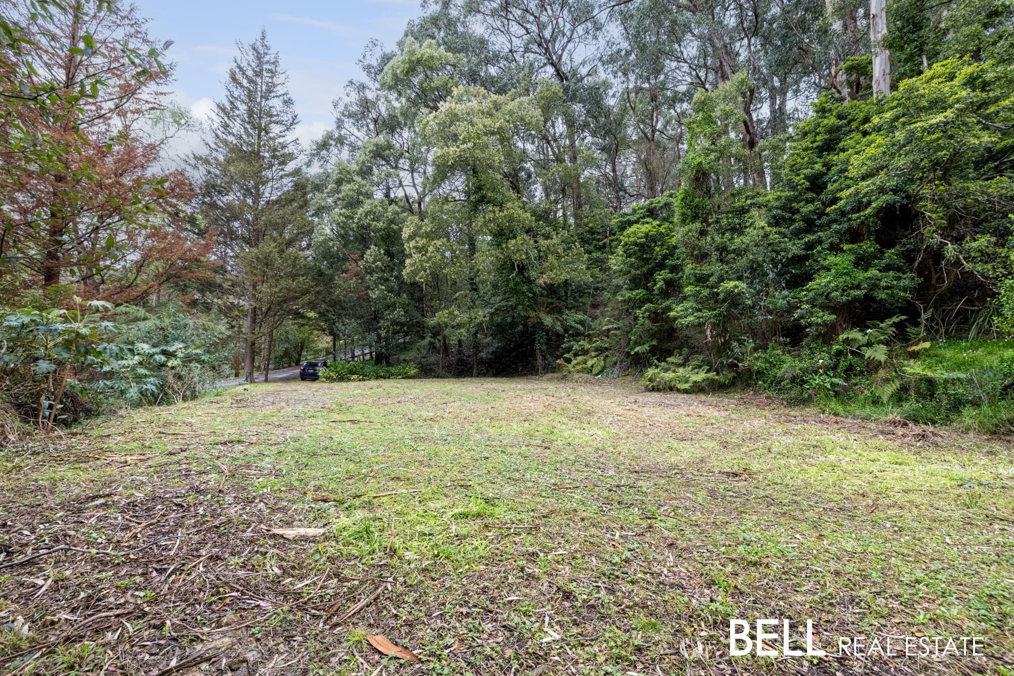 103 Belgrave-Gembrook Road, SELBY, Selby - Thumbnail 6