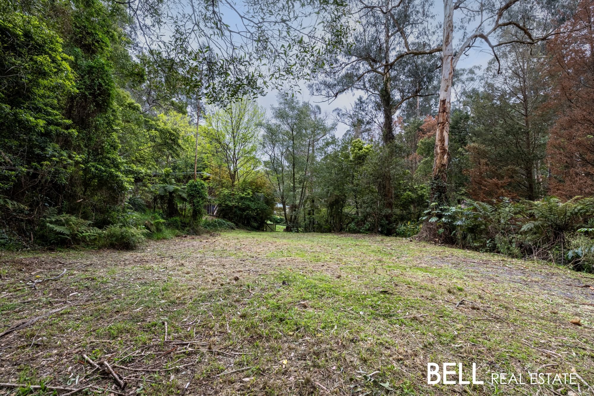 103 Belgrave-Gembrook Road, SELBY, Selby - Thumbnail 2