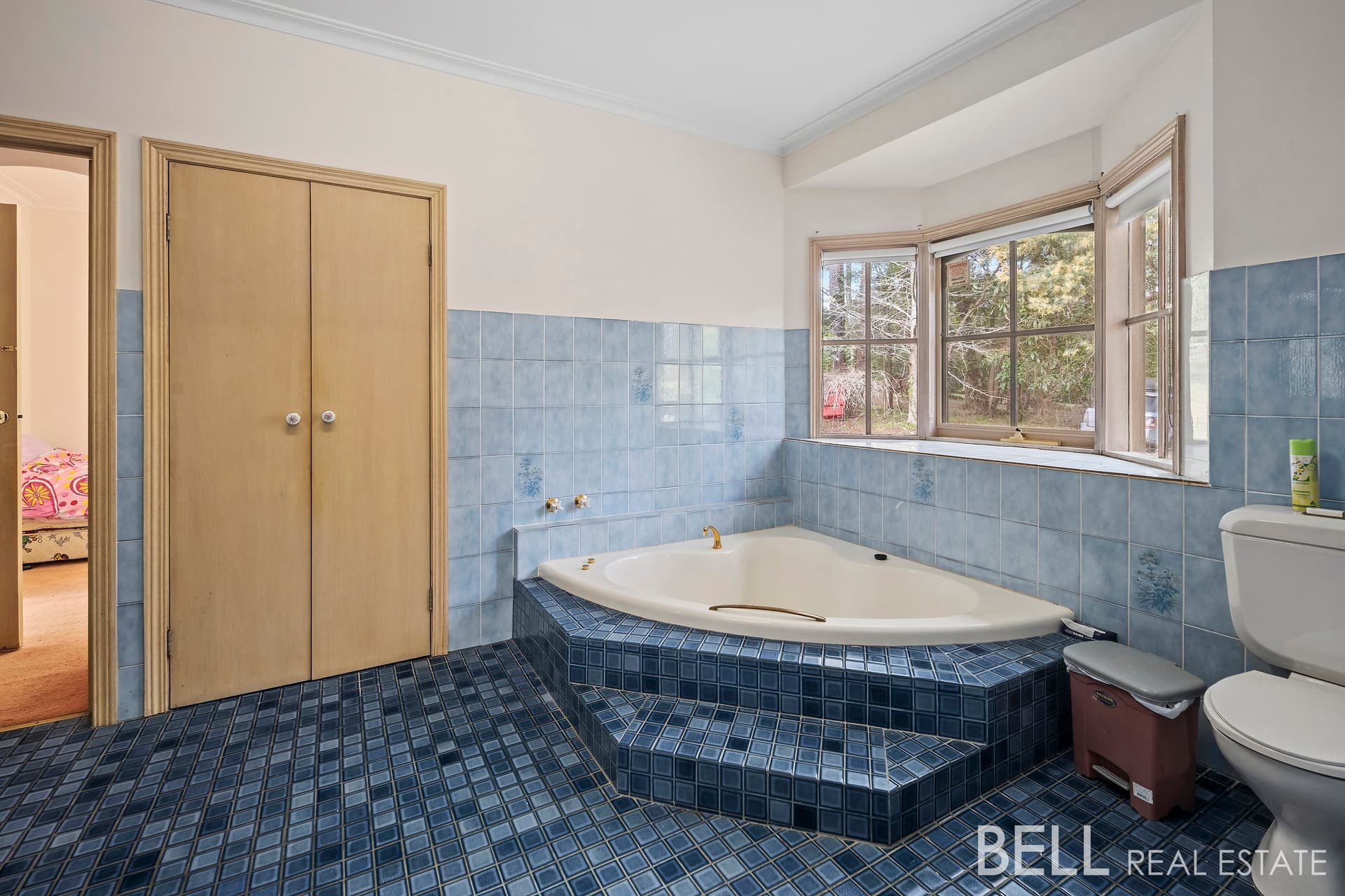 115 Uren Road, EMERALD, Emerald - Thumbnail 8
