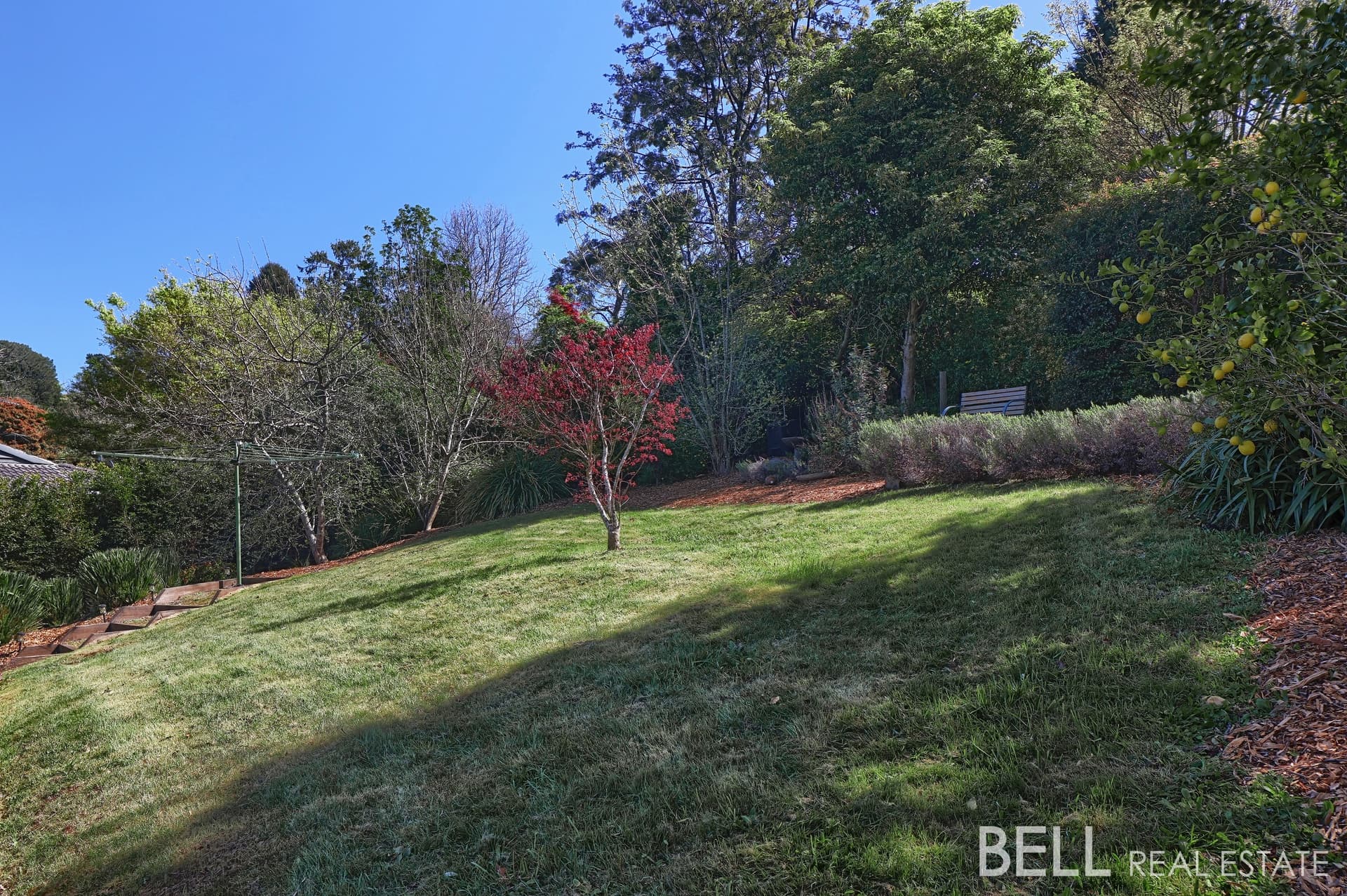 21 Emerald Lake Road, EMERALD, Emerald - Thumbnail 6