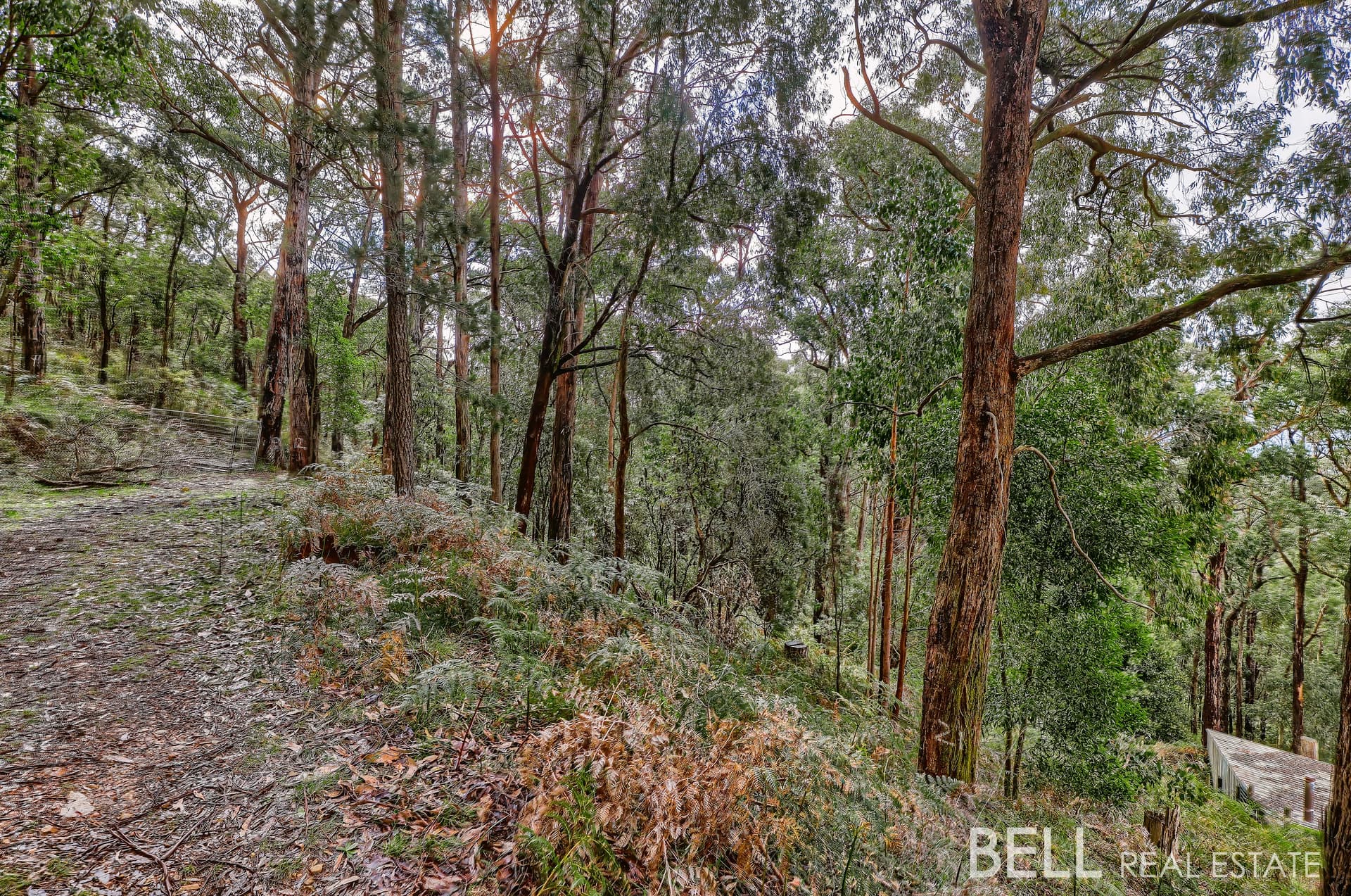 36 Seaview Road, COCKATOO, Cockatoo - Thumbnail 5