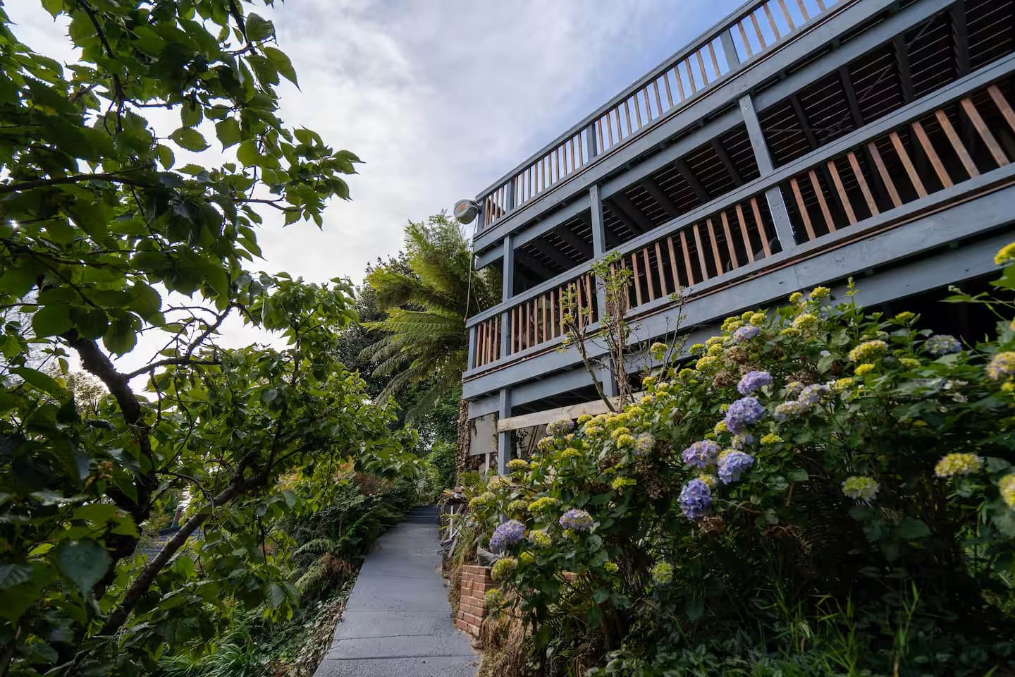 50 Ferguson Street, UPWEY, Upwey - Thumbnail 6