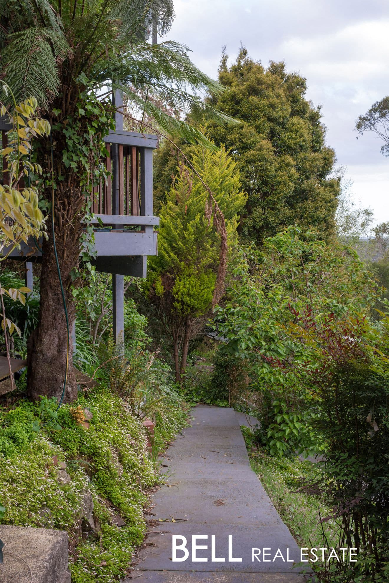 50 Ferguson Street, UPWEY, Upwey - Thumbnail 5