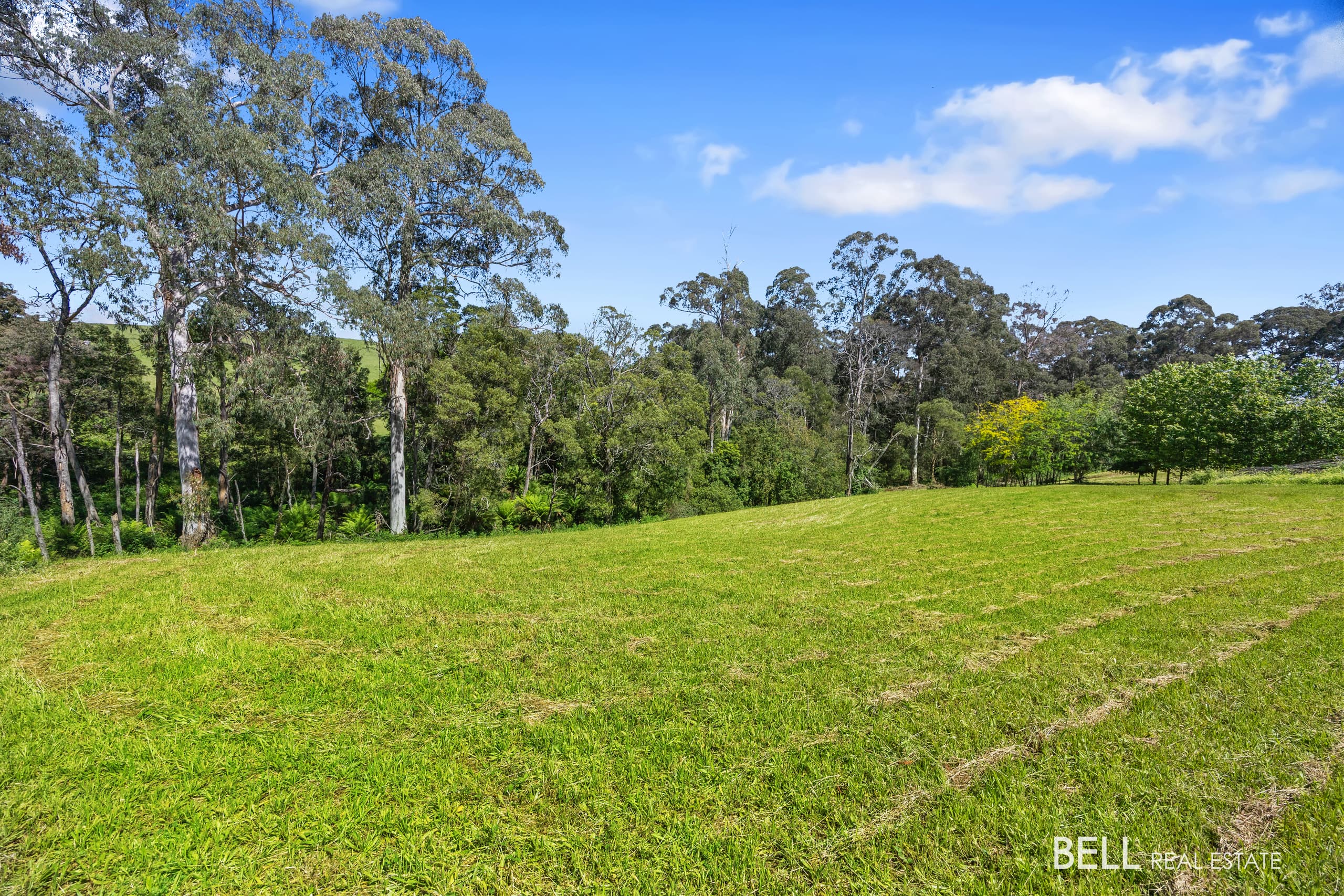 65 Lewis Road, HODDLES CREEK, Hoddles Creek - Thumbnail 8