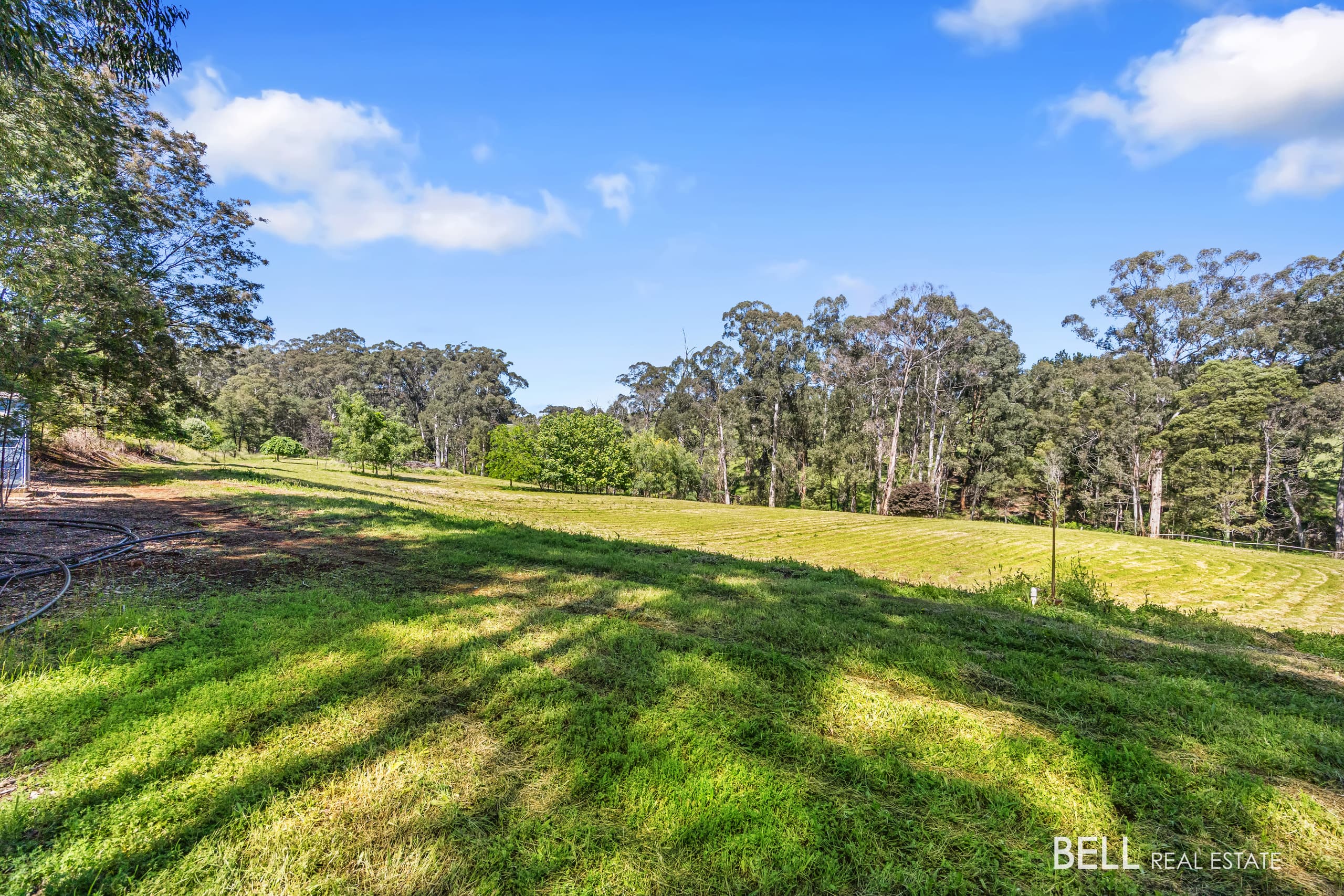 65 Lewis Road, HODDLES CREEK, Hoddles Creek - Thumbnail 6