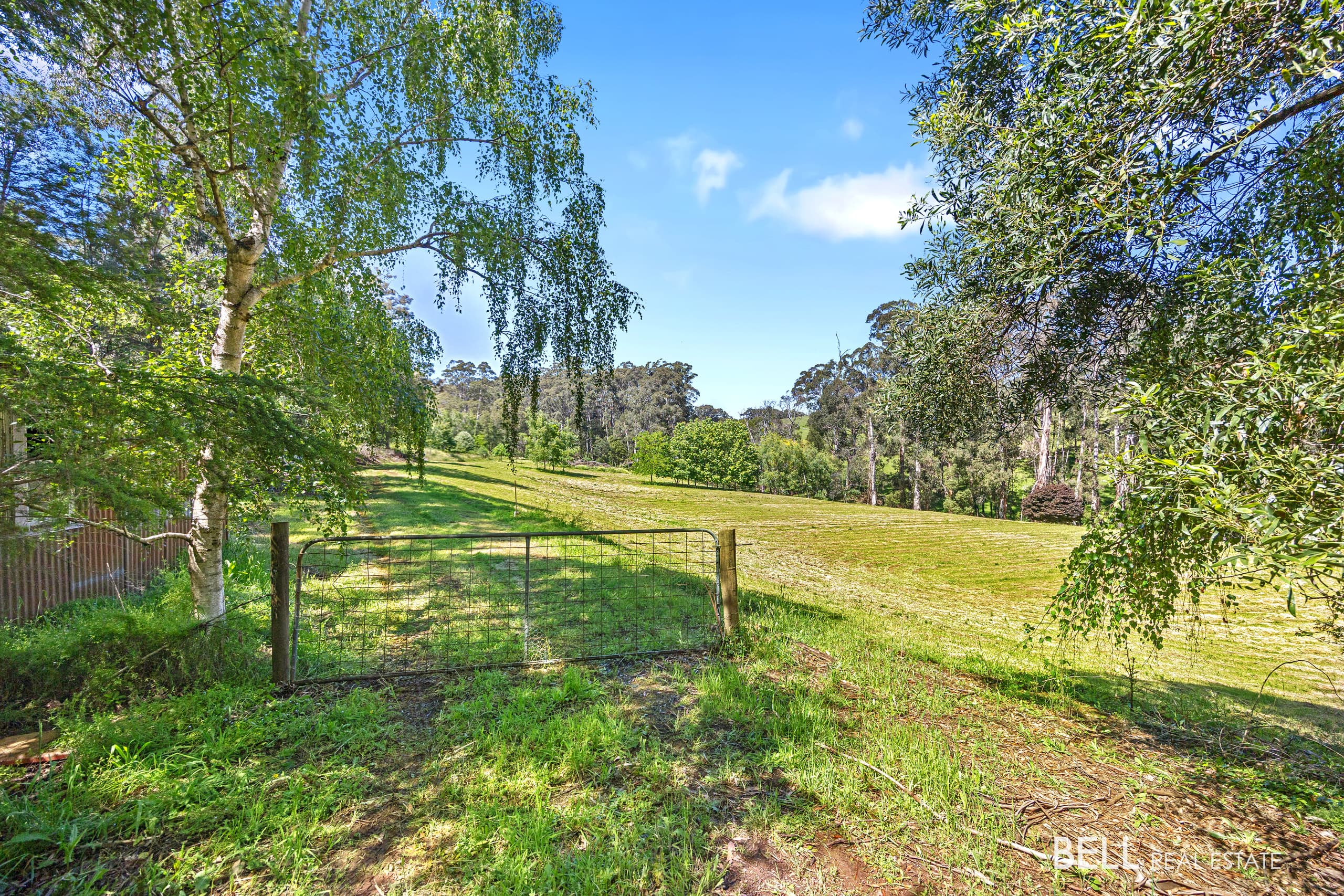 65 Lewis Road, HODDLES CREEK, Hoddles Creek - Thumbnail 7