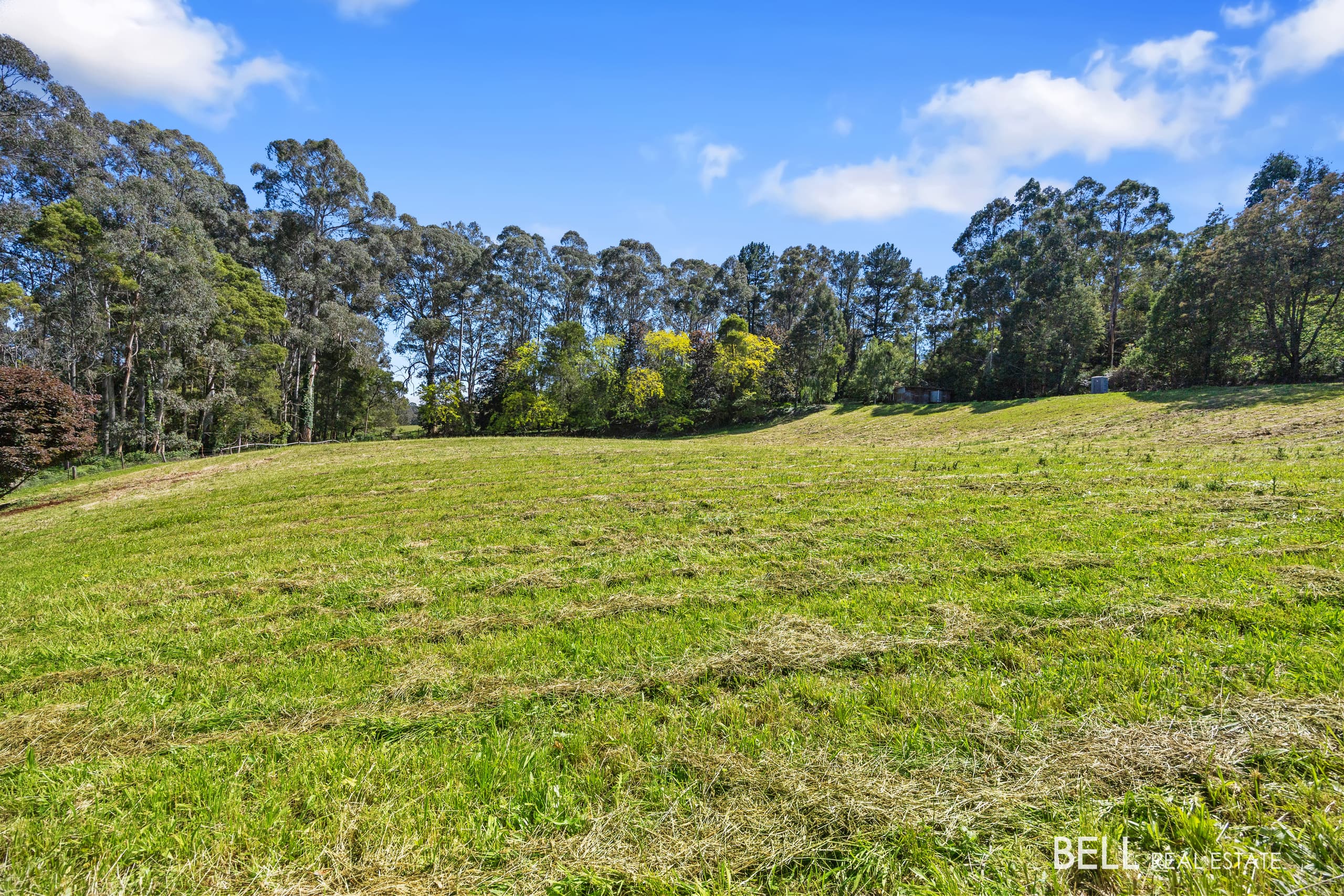 65 Lewis Road, HODDLES CREEK, Hoddles Creek - Image 1