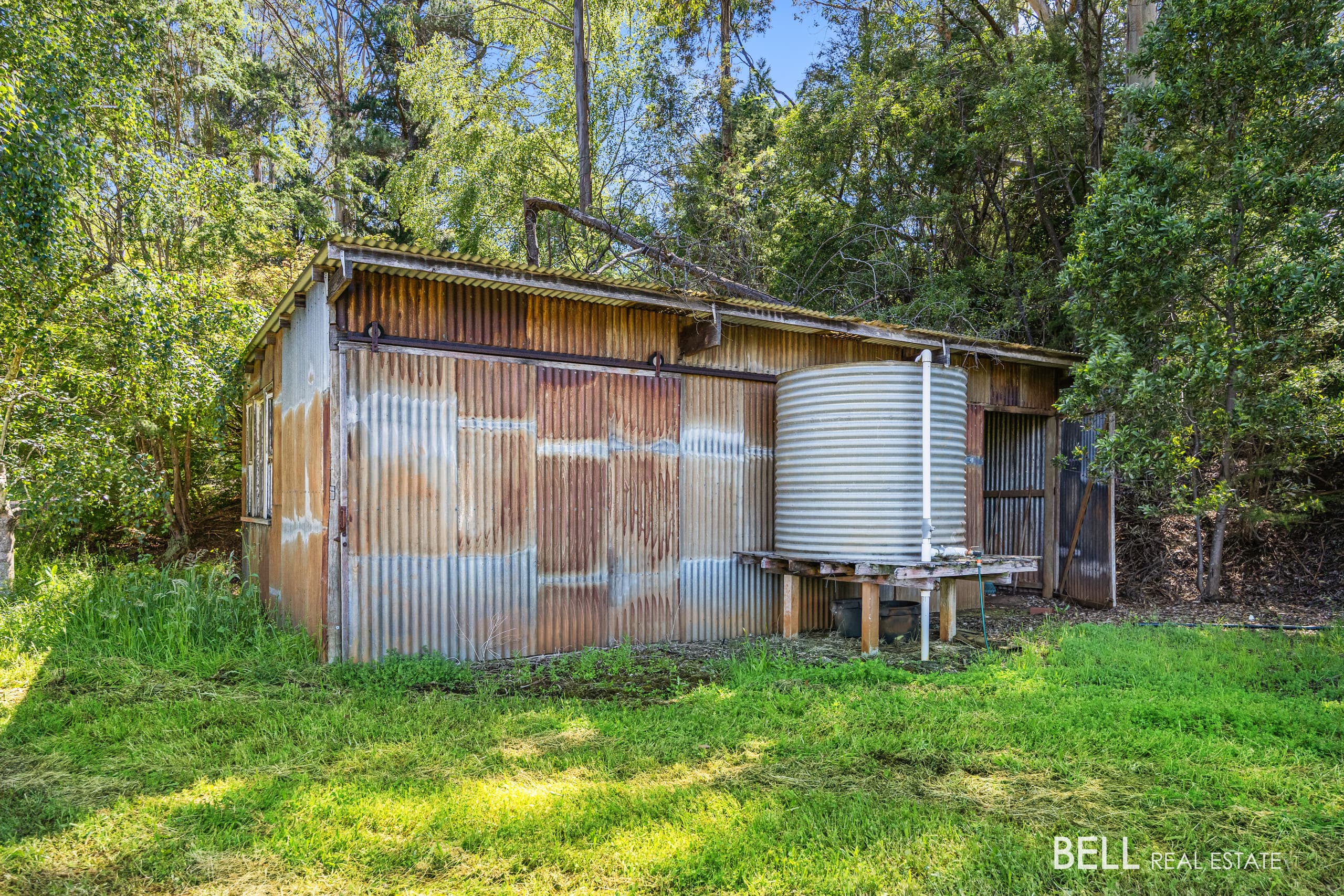 65 Lewis Road, HODDLES CREEK, Hoddles Creek - Thumbnail 5