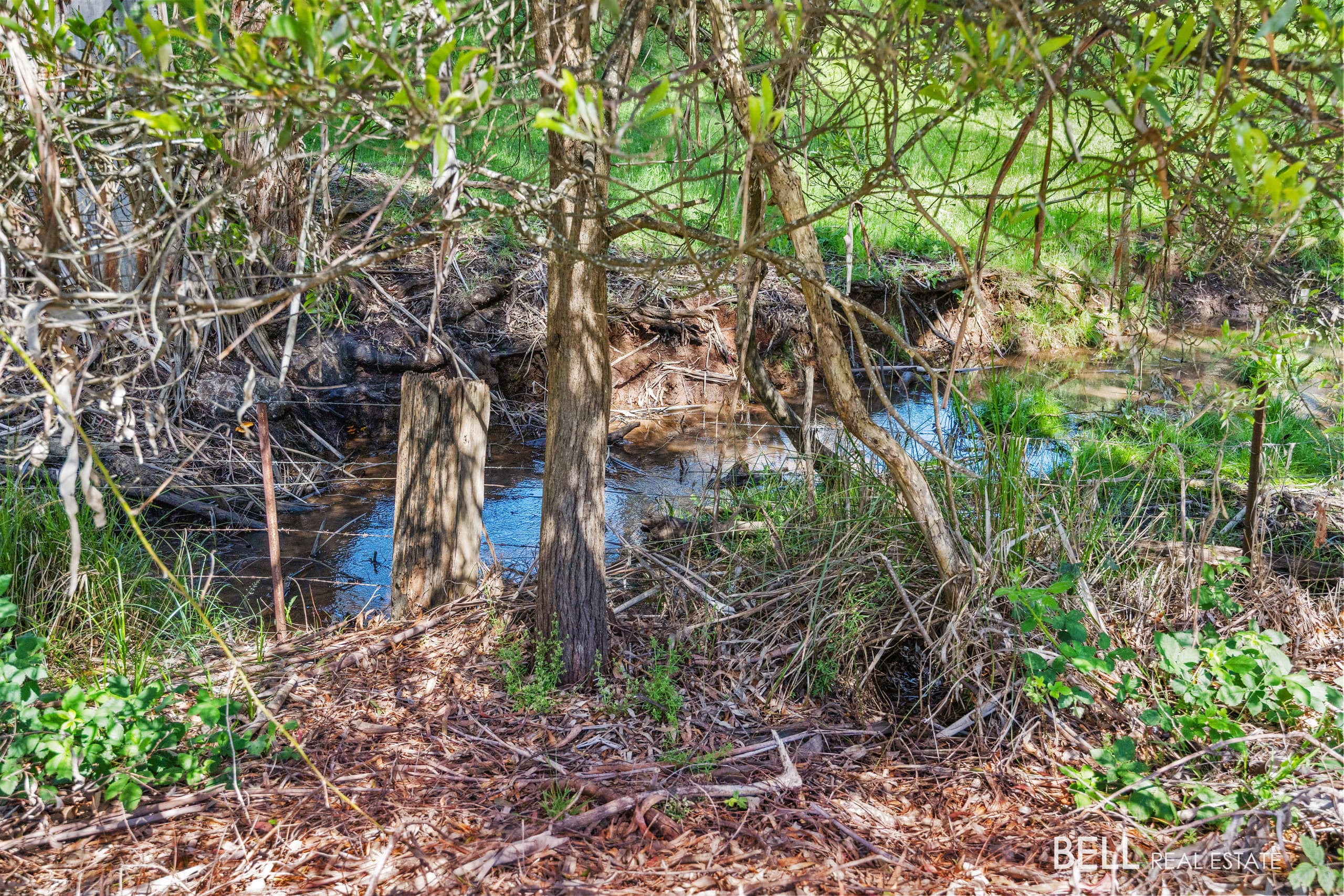 65 Lewis Road, HODDLES CREEK, Hoddles Creek - Thumbnail 2