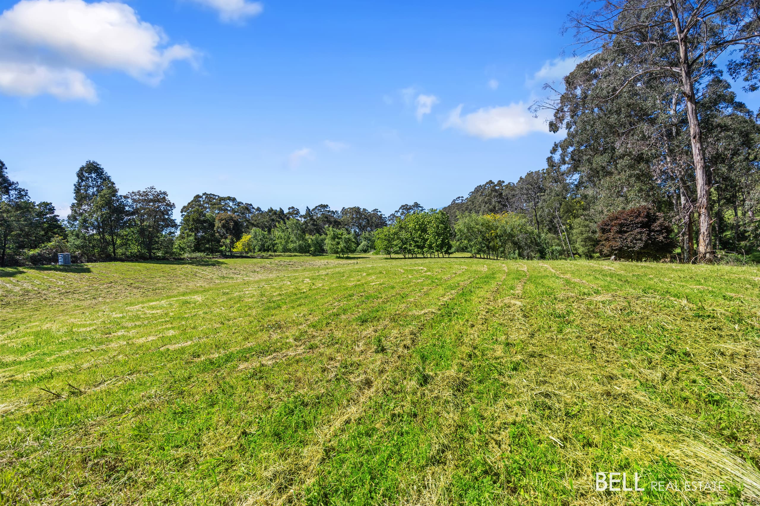 65 Lewis Road, HODDLES CREEK, Hoddles Creek - Thumbnail 3