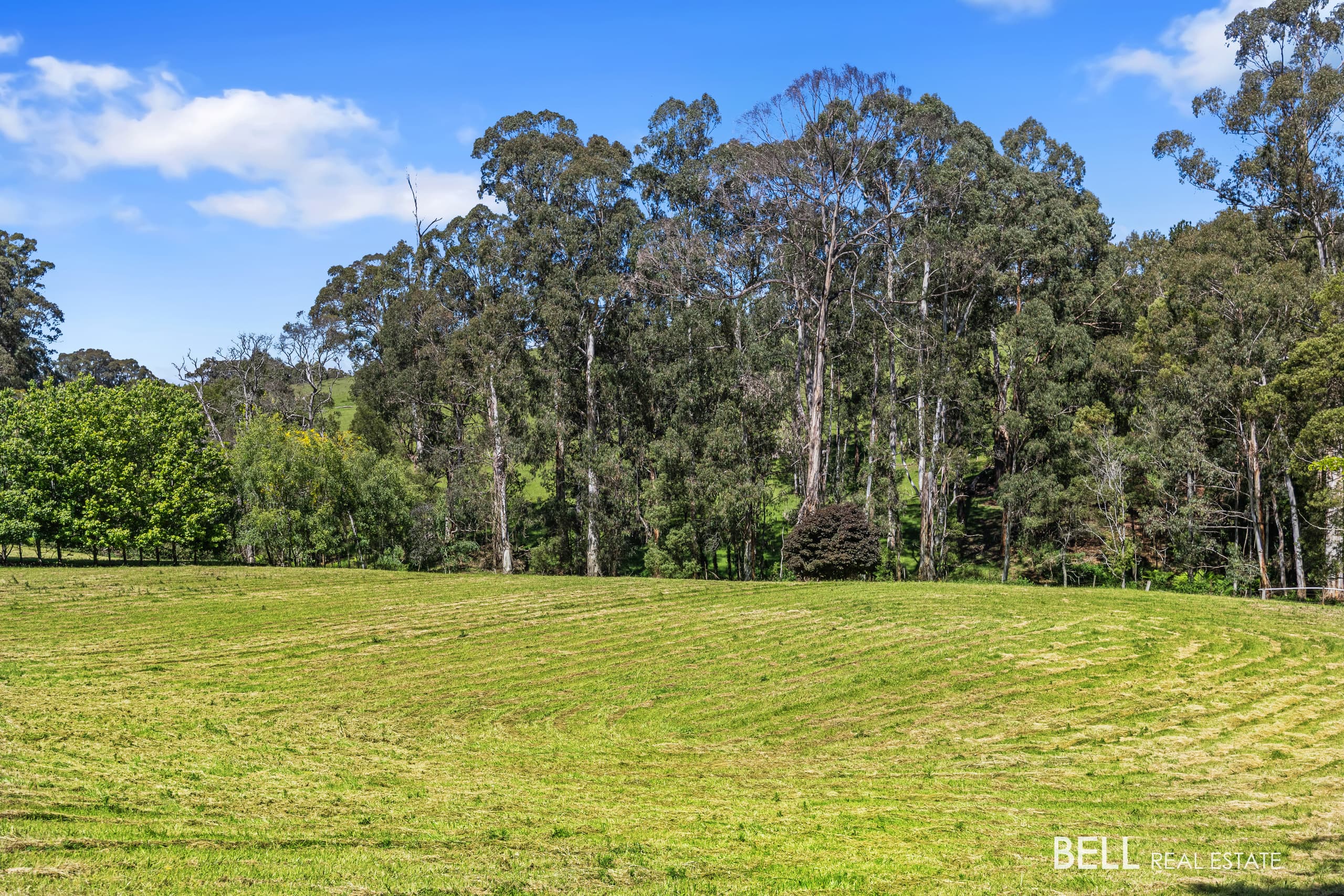 65 Lewis Road, HODDLES CREEK, Hoddles Creek - Thumbnail 4
