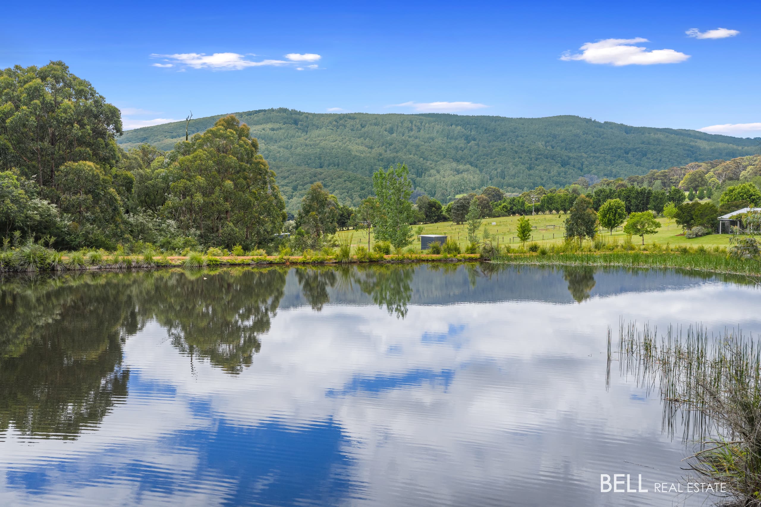 740 Little Yarra Road, GLADYSDALE, Gladysdale - Thumbnail 2