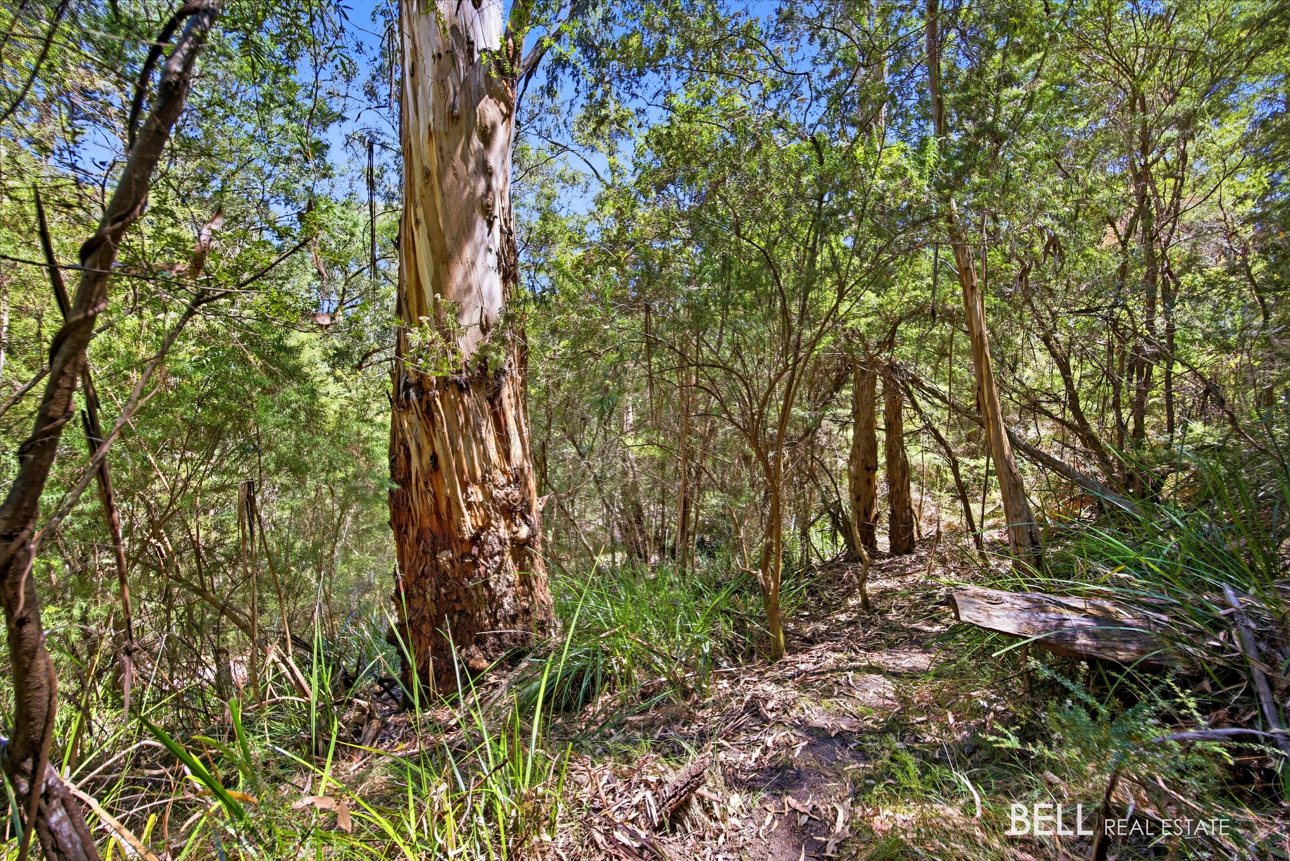 23 Glenbrook Road, WARBURTON, Warburton - Thumbnail 7