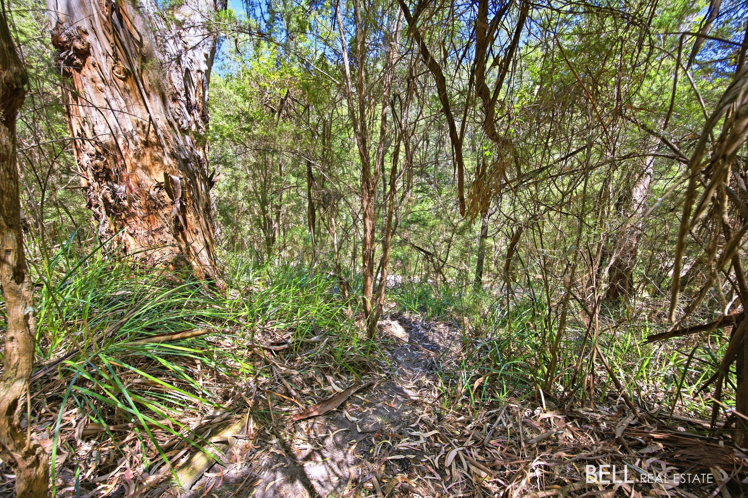 23 Glenbrook Road, WARBURTON, Warburton - Thumbnail 5