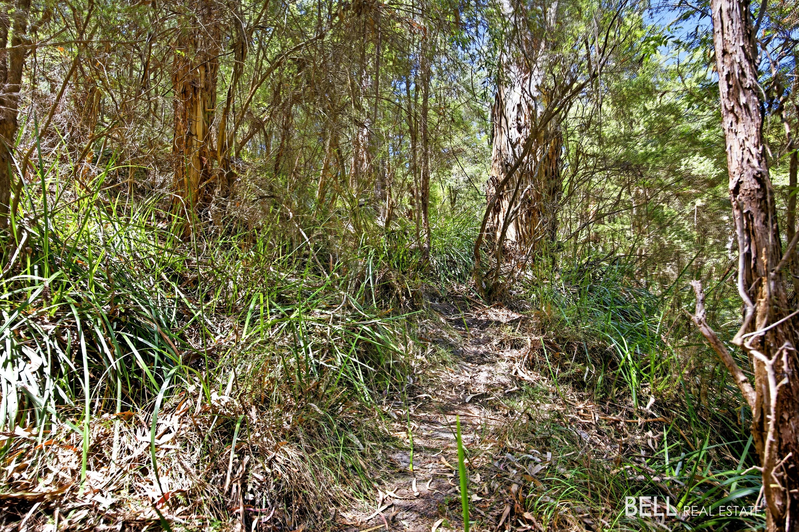 23 Glenbrook Road, WARBURTON, Warburton - Thumbnail 8