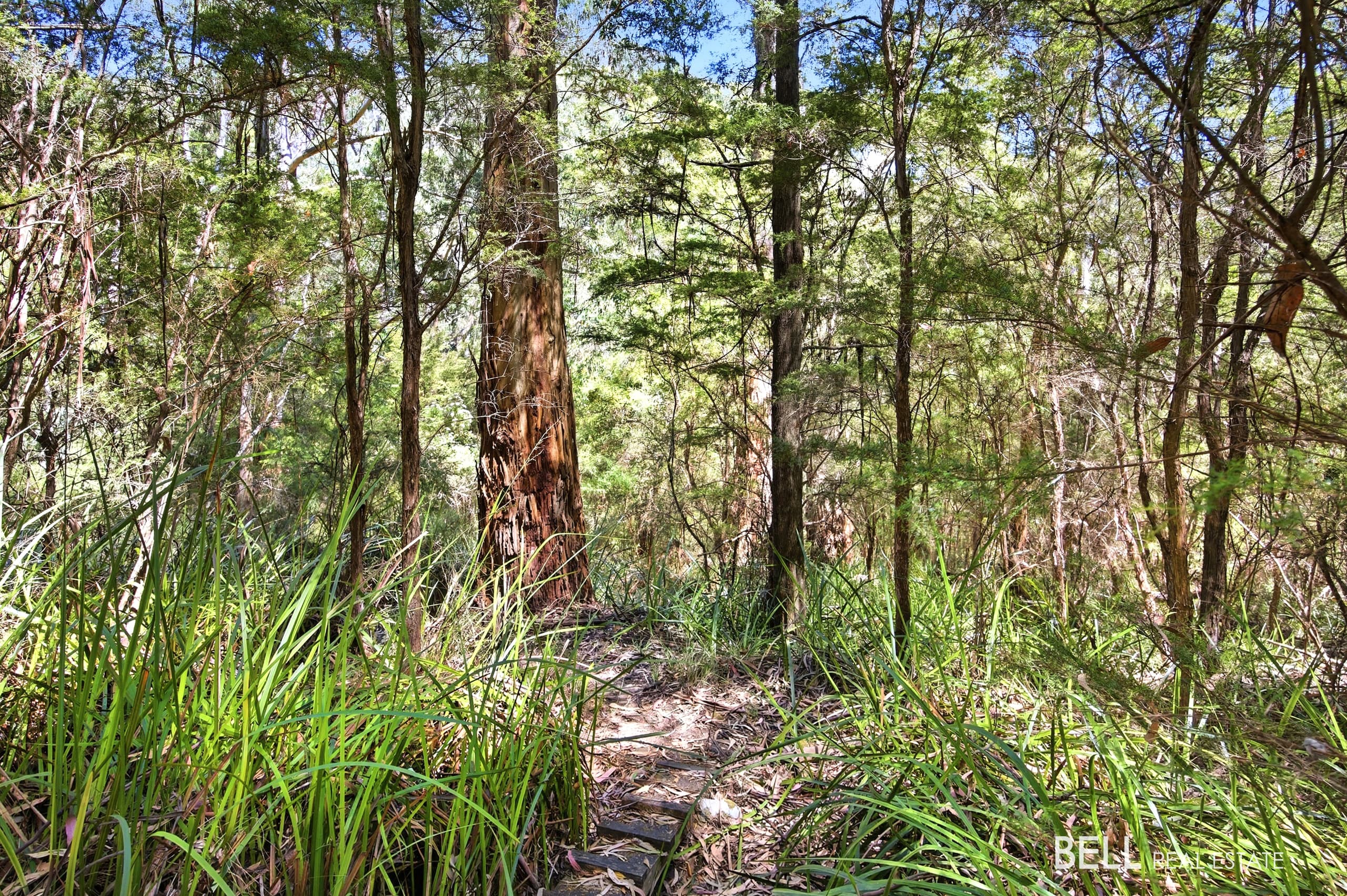 23 Glenbrook Road, WARBURTON, Warburton - Thumbnail 6