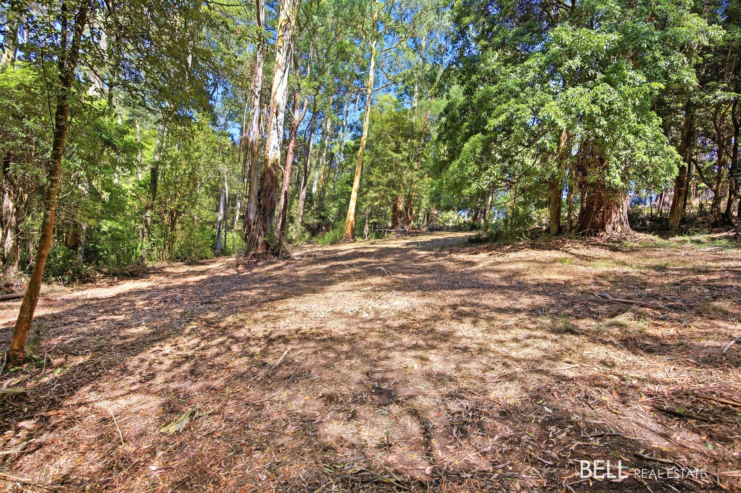 5 Story Road, WARBURTON, Warburton - Thumbnail 4