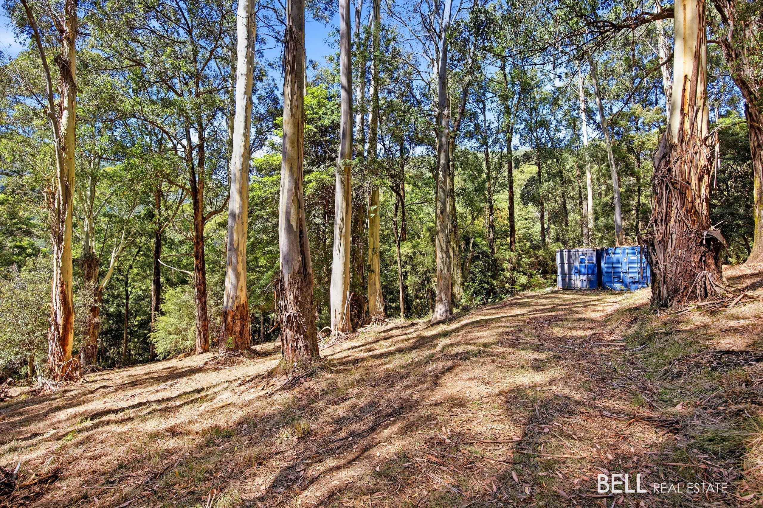 5 Story Road, WARBURTON, Warburton - Thumbnail 3