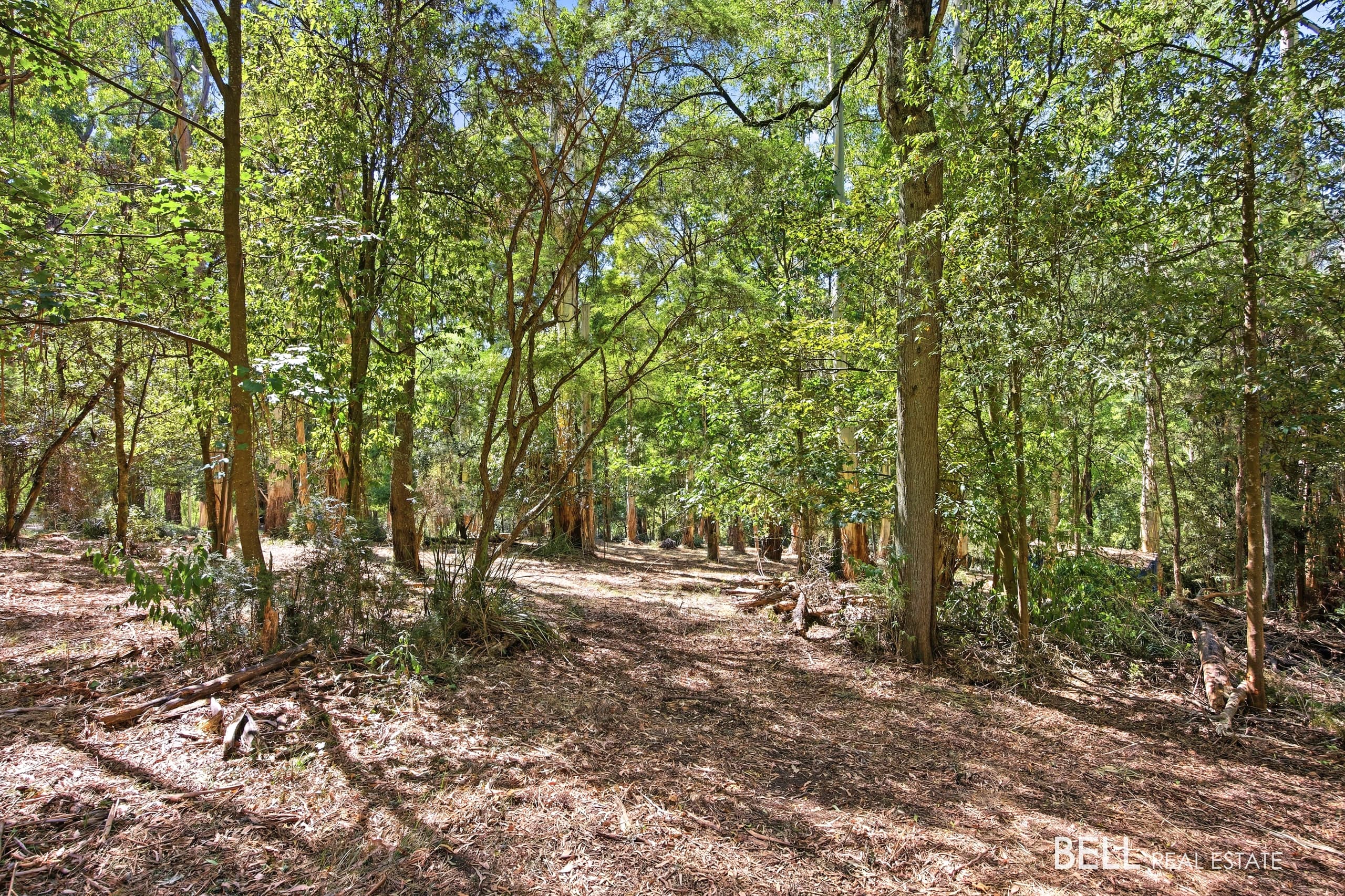 5 Story Road, WARBURTON, Warburton - Thumbnail 7