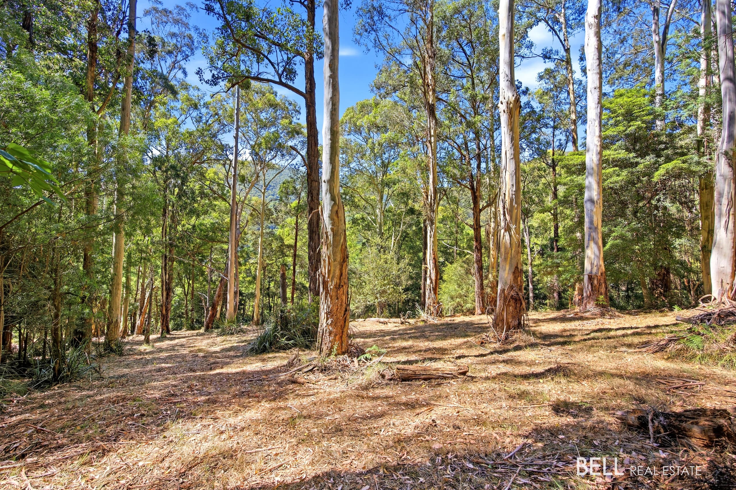 5 Story Road, WARBURTON, Warburton - Thumbnail 2