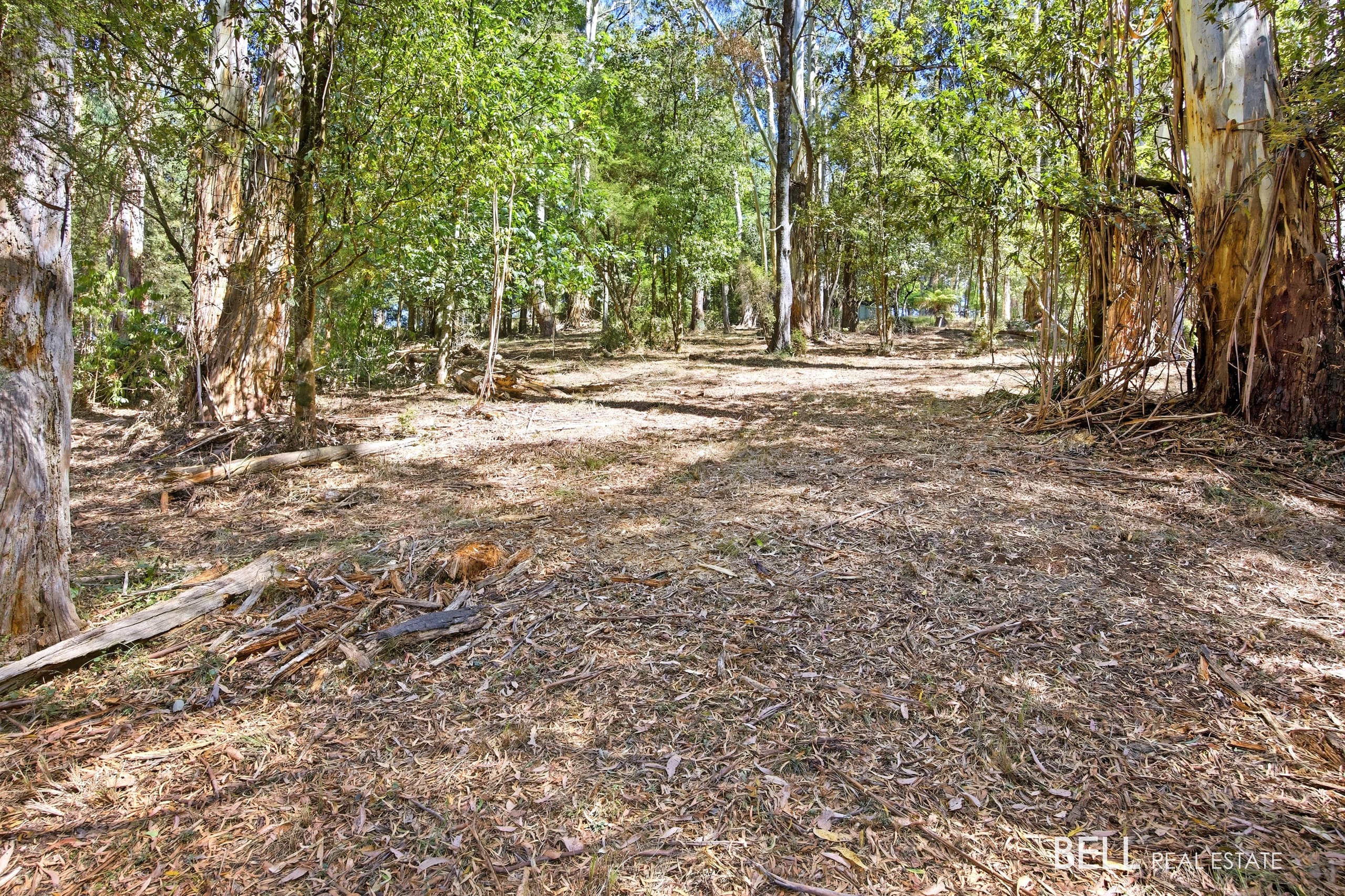 5 Story Road, WARBURTON, Warburton - Thumbnail 5
