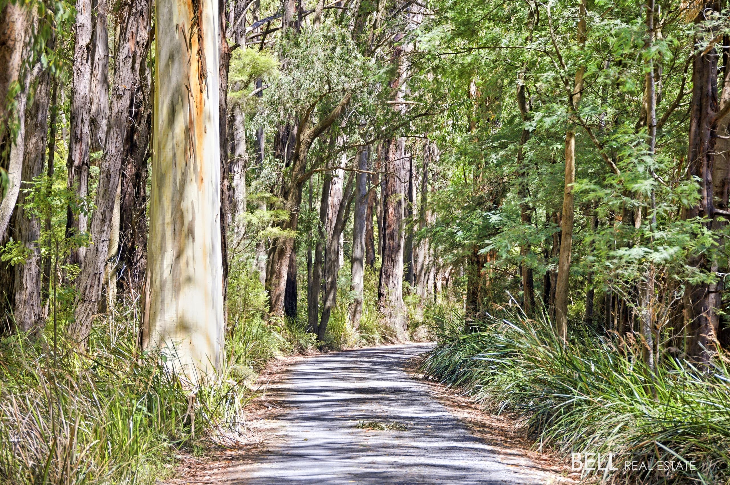 1195 Little Yarra Road, THREE BRIDGES, Three Bridges - Thumbnail 2