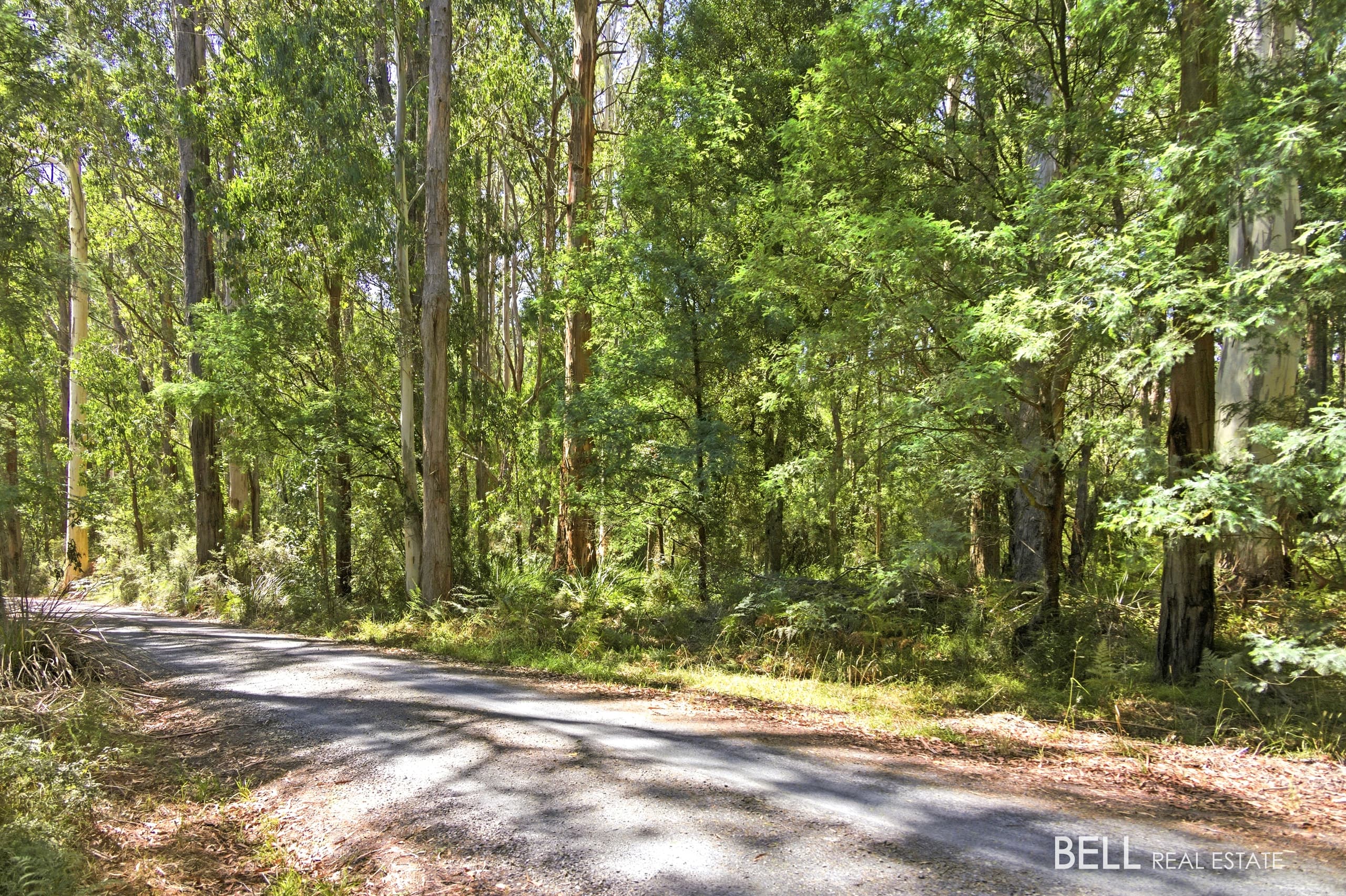 1195 Little Yarra Road, THREE BRIDGES, Three Bridges - Thumbnail 7