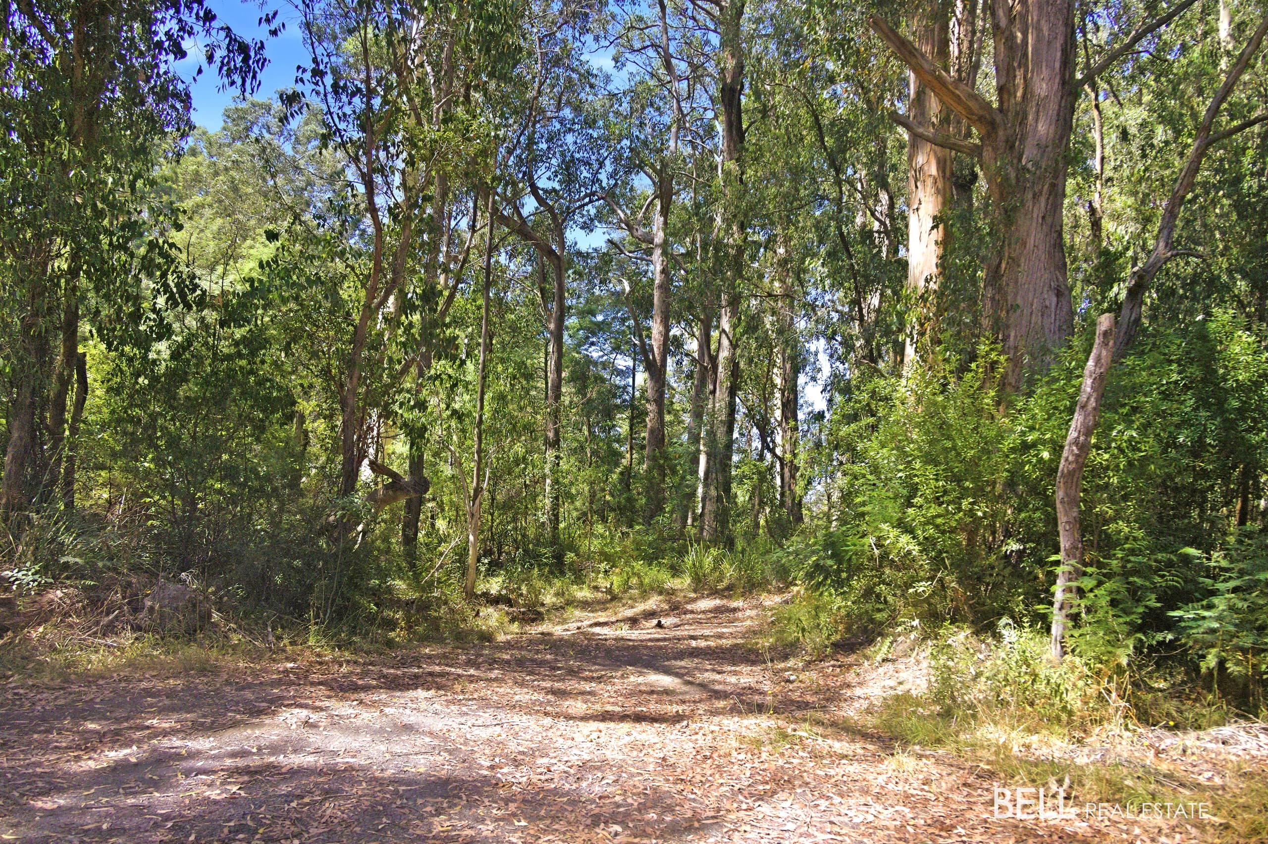 1195 Little Yarra Road, THREE BRIDGES, Three Bridges - Thumbnail 5