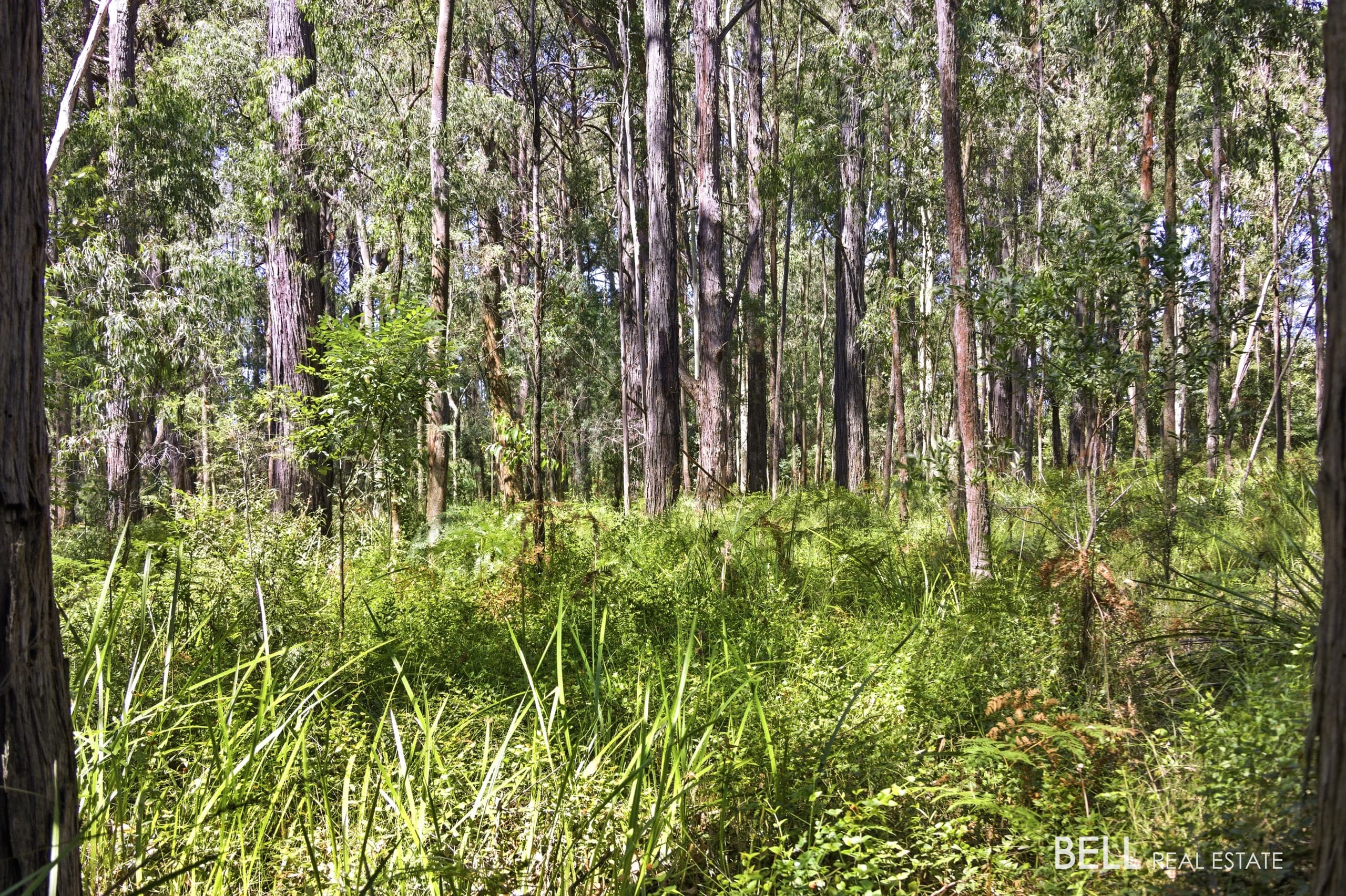 1195 Little Yarra Road, THREE BRIDGES, Three Bridges - Thumbnail 4