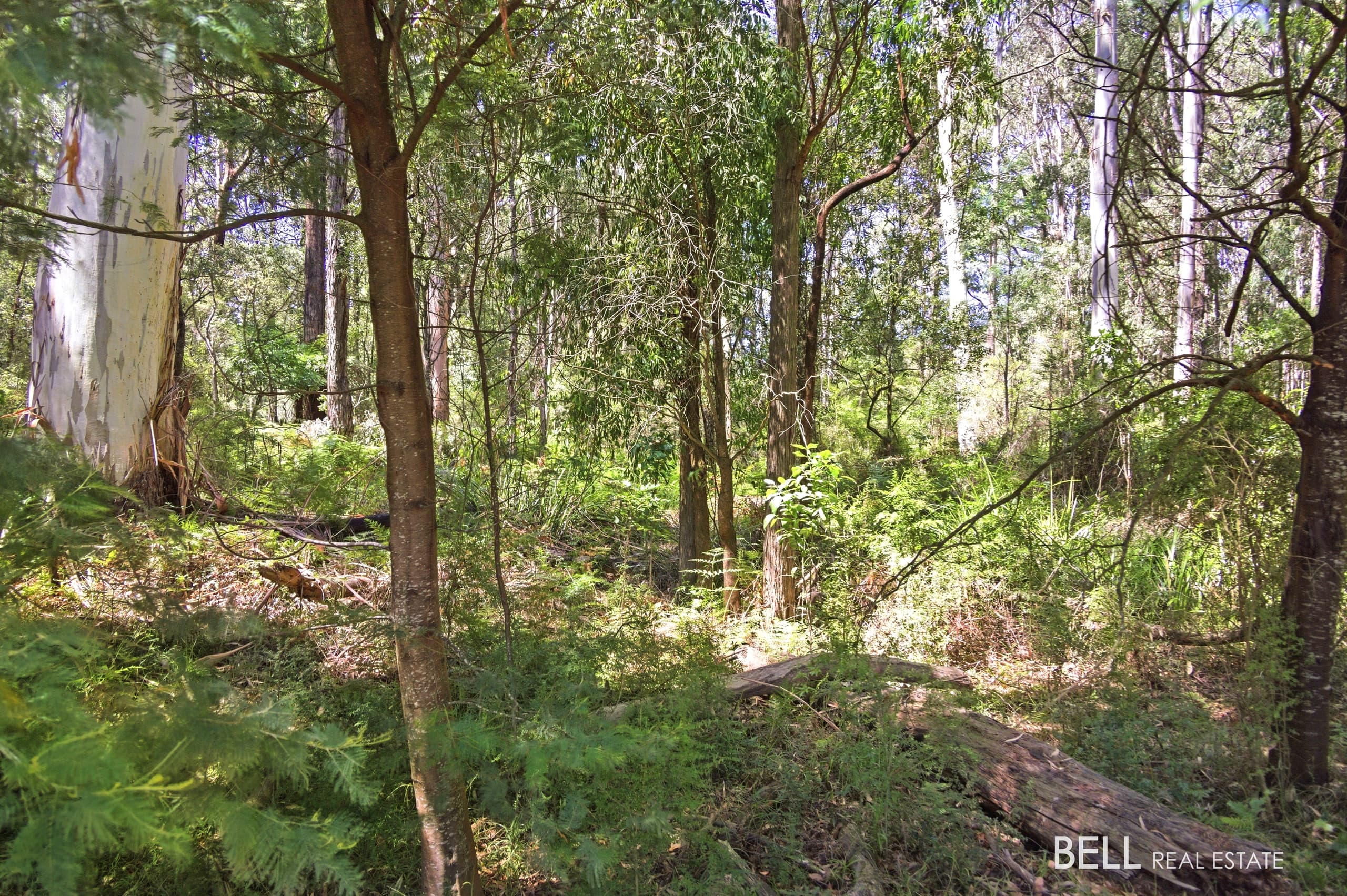 1195 Little Yarra Road, THREE BRIDGES, Three Bridges - Thumbnail 8