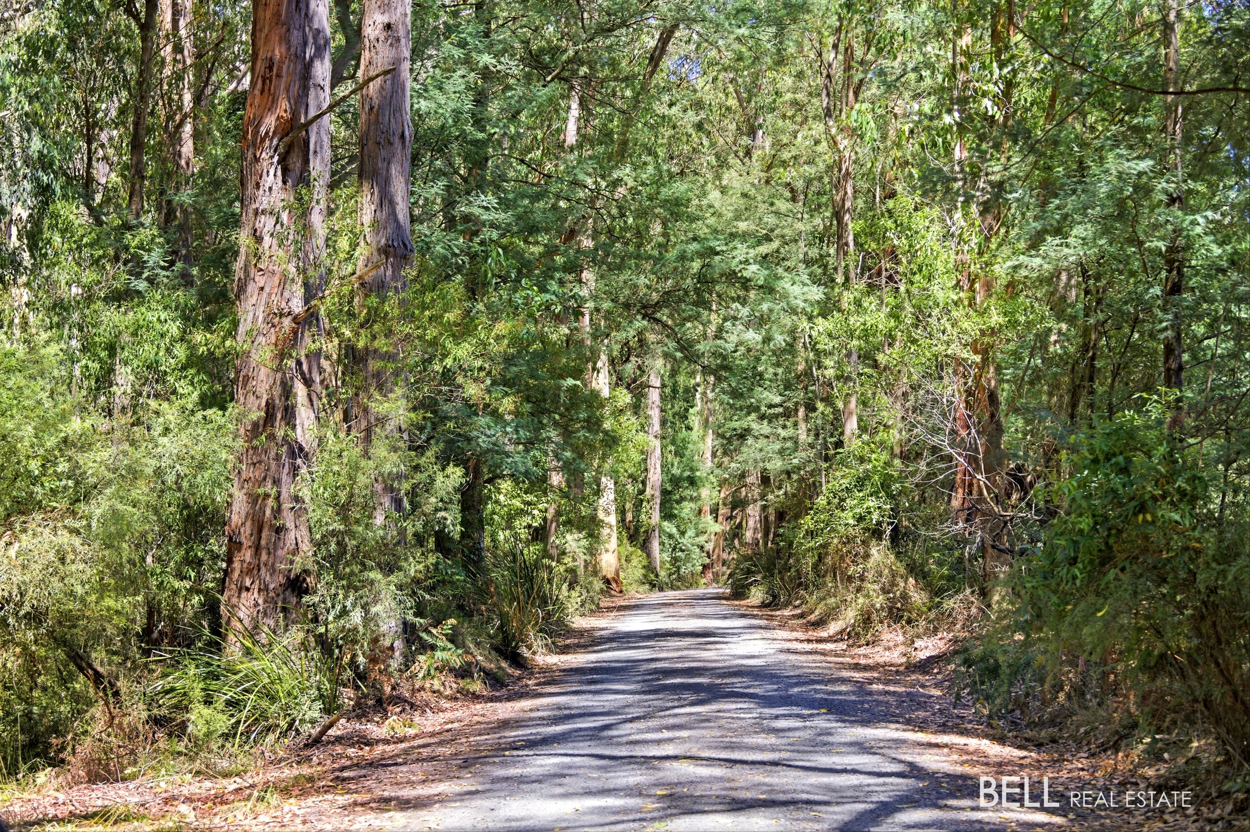 1195 Little Yarra Road, THREE BRIDGES, Three Bridges - Thumbnail 6