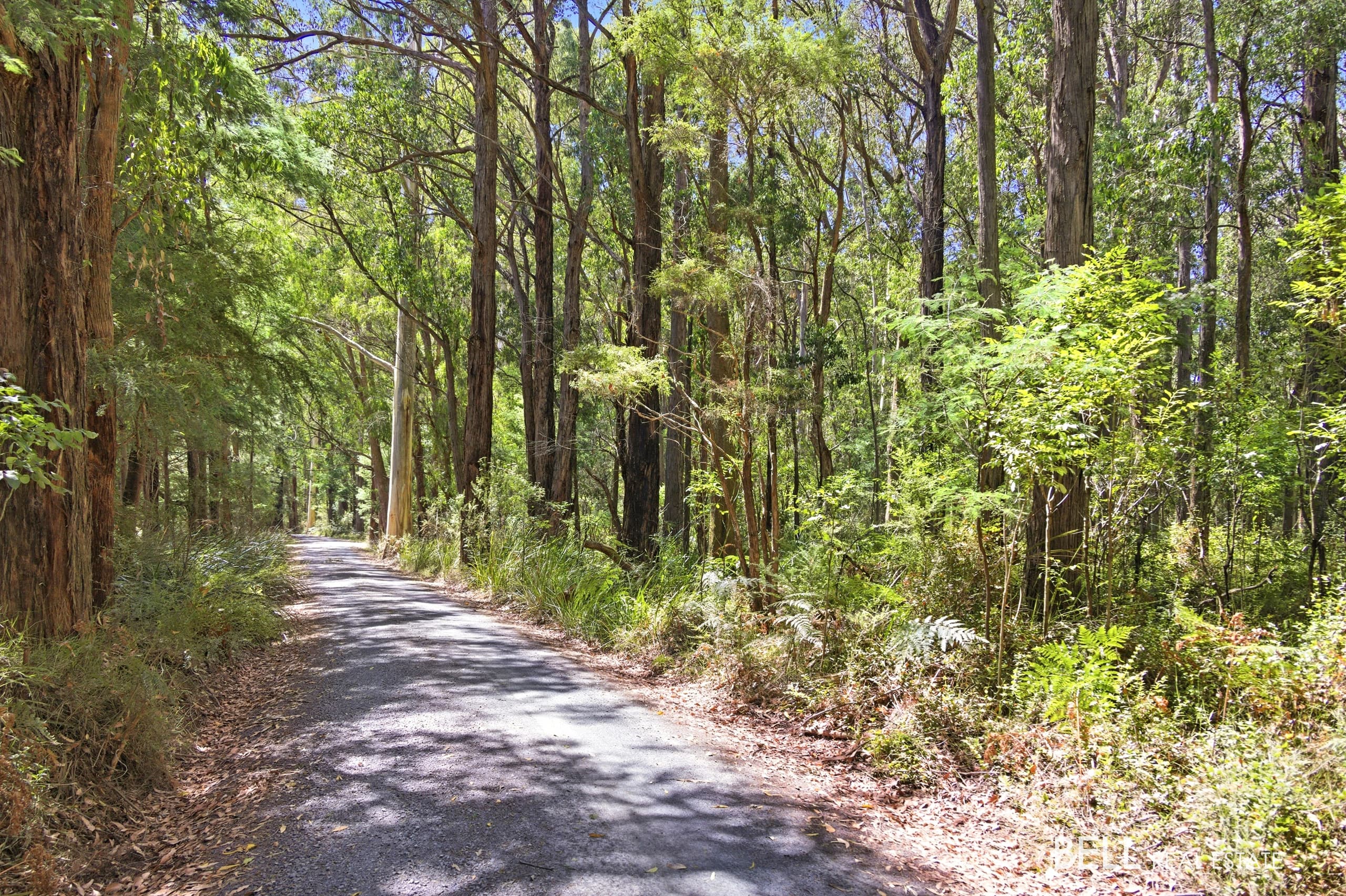 1195 Little Yarra Road, THREE BRIDGES, Three Bridges - Thumbnail 3