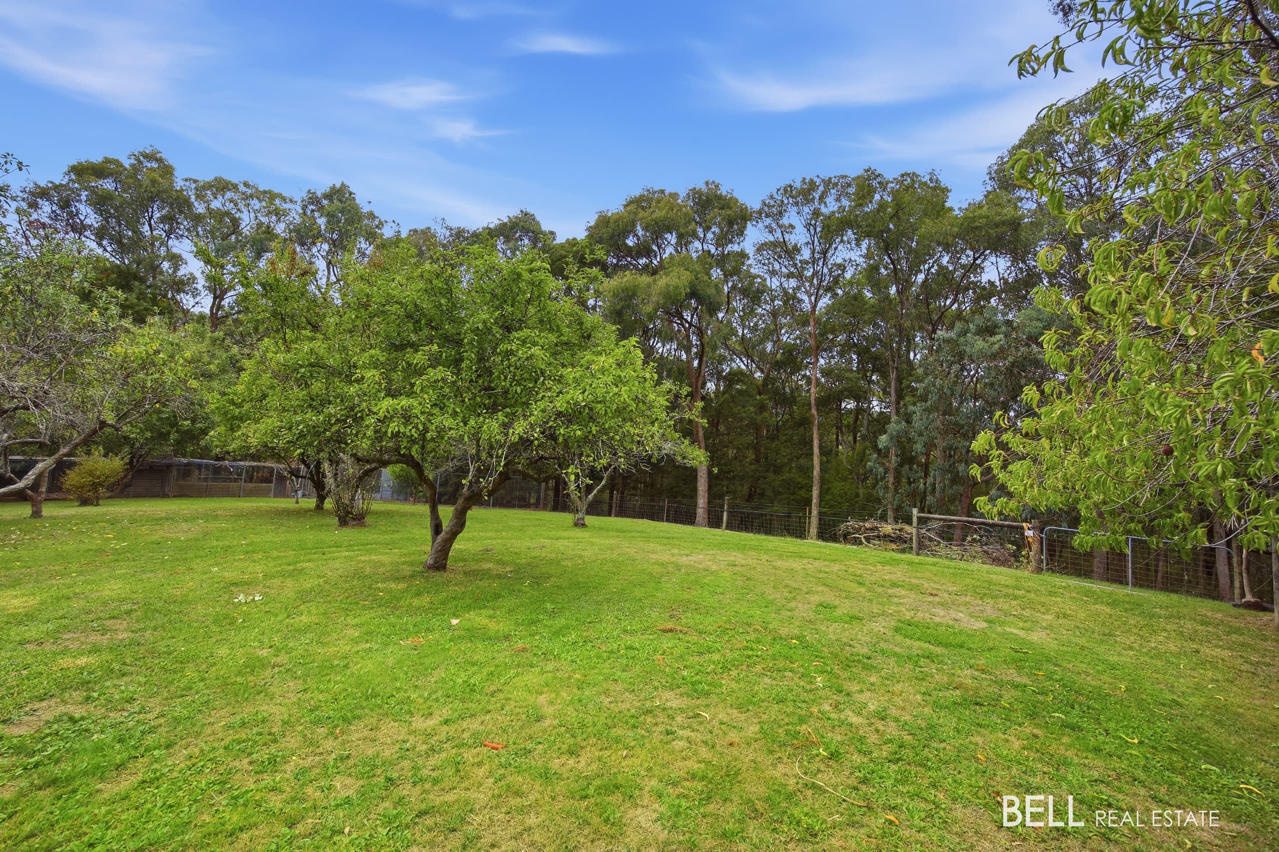 15 James Lane, HODDLES CREEK, Hoddles Creek - Thumbnail 3