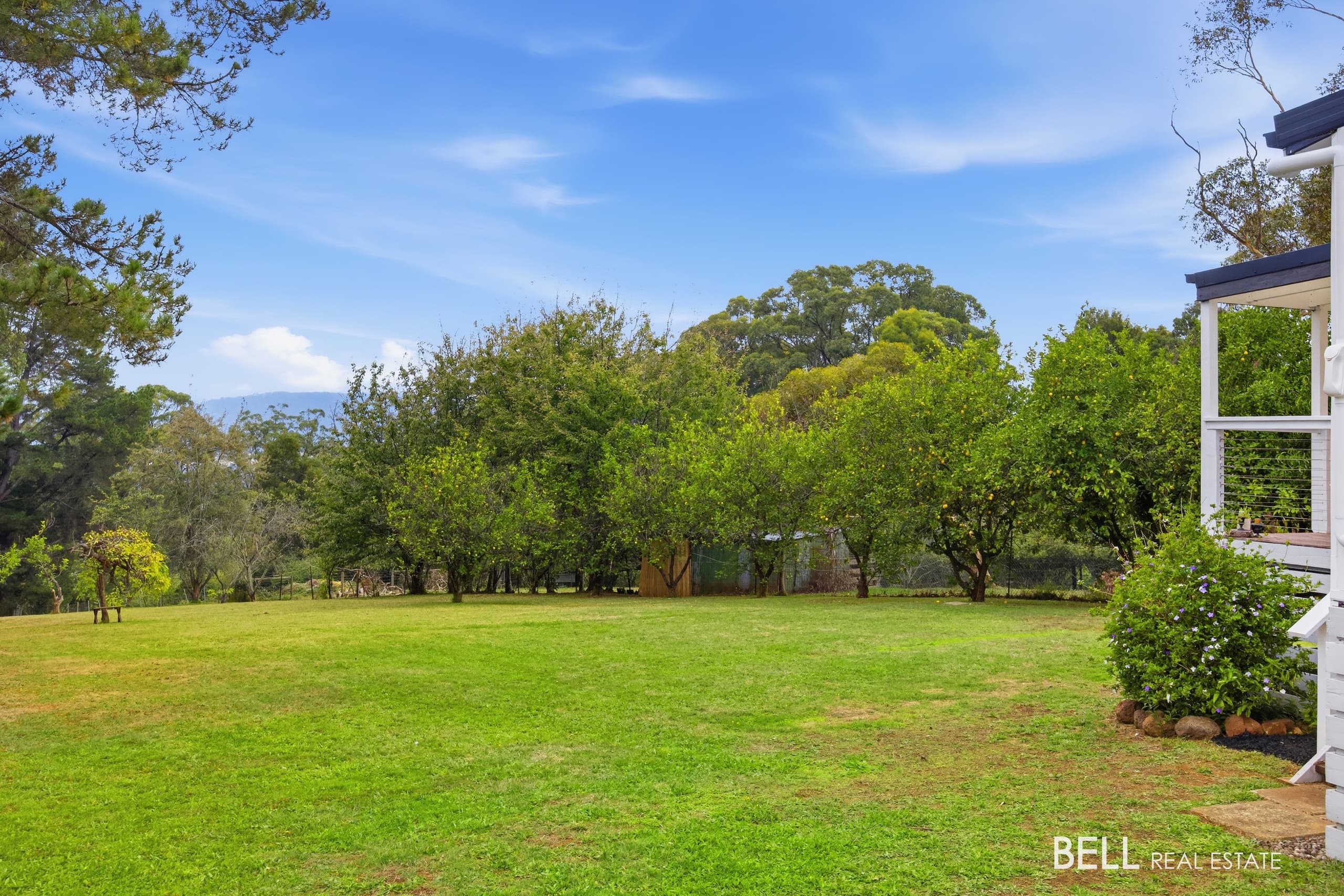 705 Lusatia Park Road, HODDLES CREEK, Hoddles Creek - Thumbnail 4
