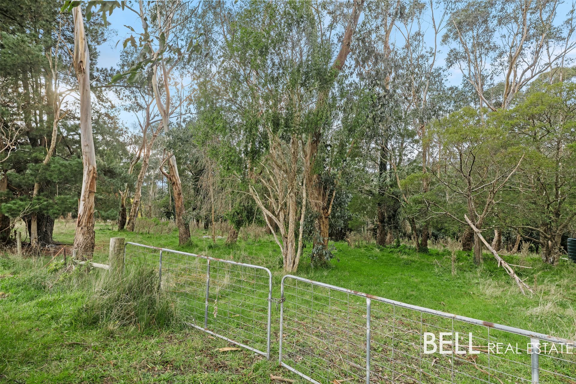 Lot 2/715 Gembrook-Launching Place Road, HODDLES CREEK, Hoddles Creek - Thumbnail 2