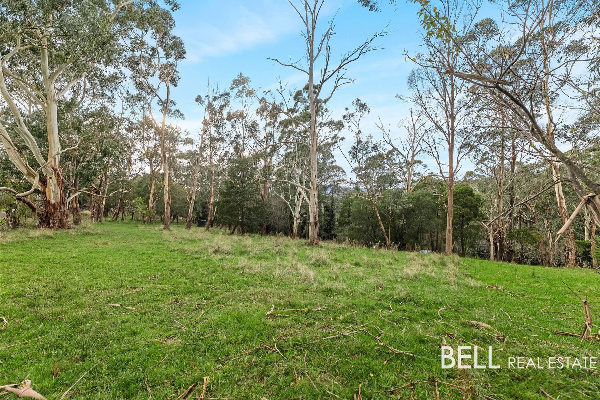Lot 2/715 Gembrook-Launching Place Road, HODDLES CREEK, Hoddles Creek - Thumbnail 4