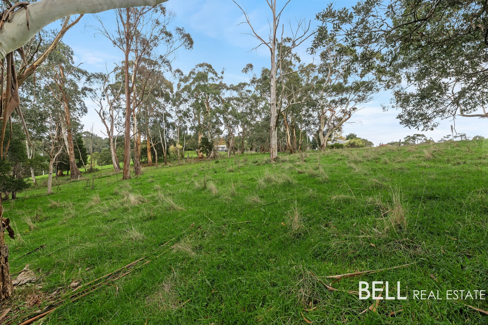 Lot 2/715 Gembrook-Launching Place Road, HODDLES CREEK, Hoddles Creek - Thumbnail 5