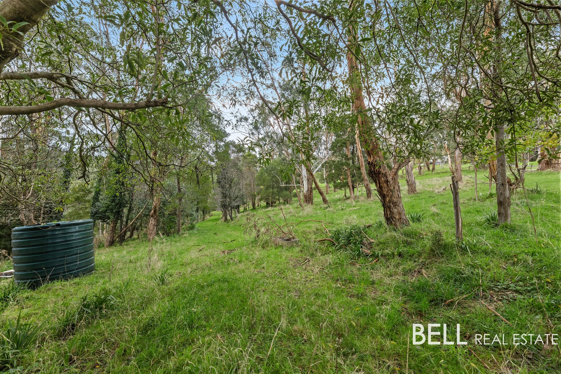 Lot 2/715 Gembrook-Launching Place Road, HODDLES CREEK, Hoddles Creek - Thumbnail 3