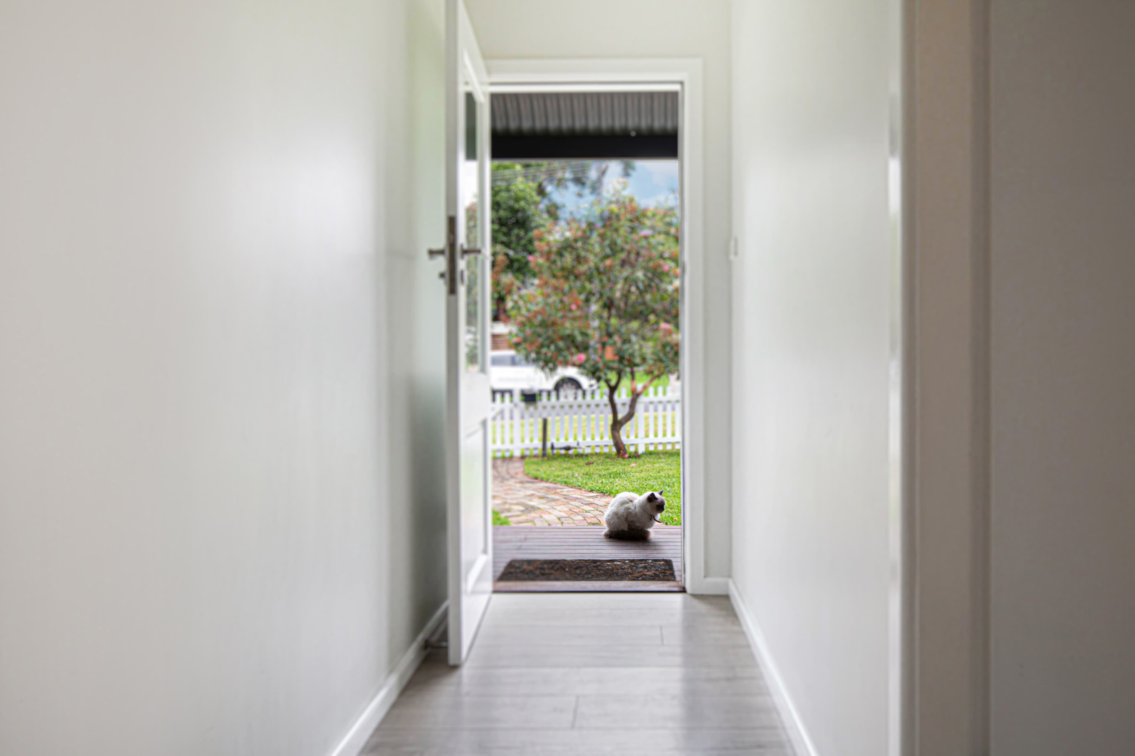 26 Carmel Street, GLENBROOK, Glenbrook - Thumbnail 3
