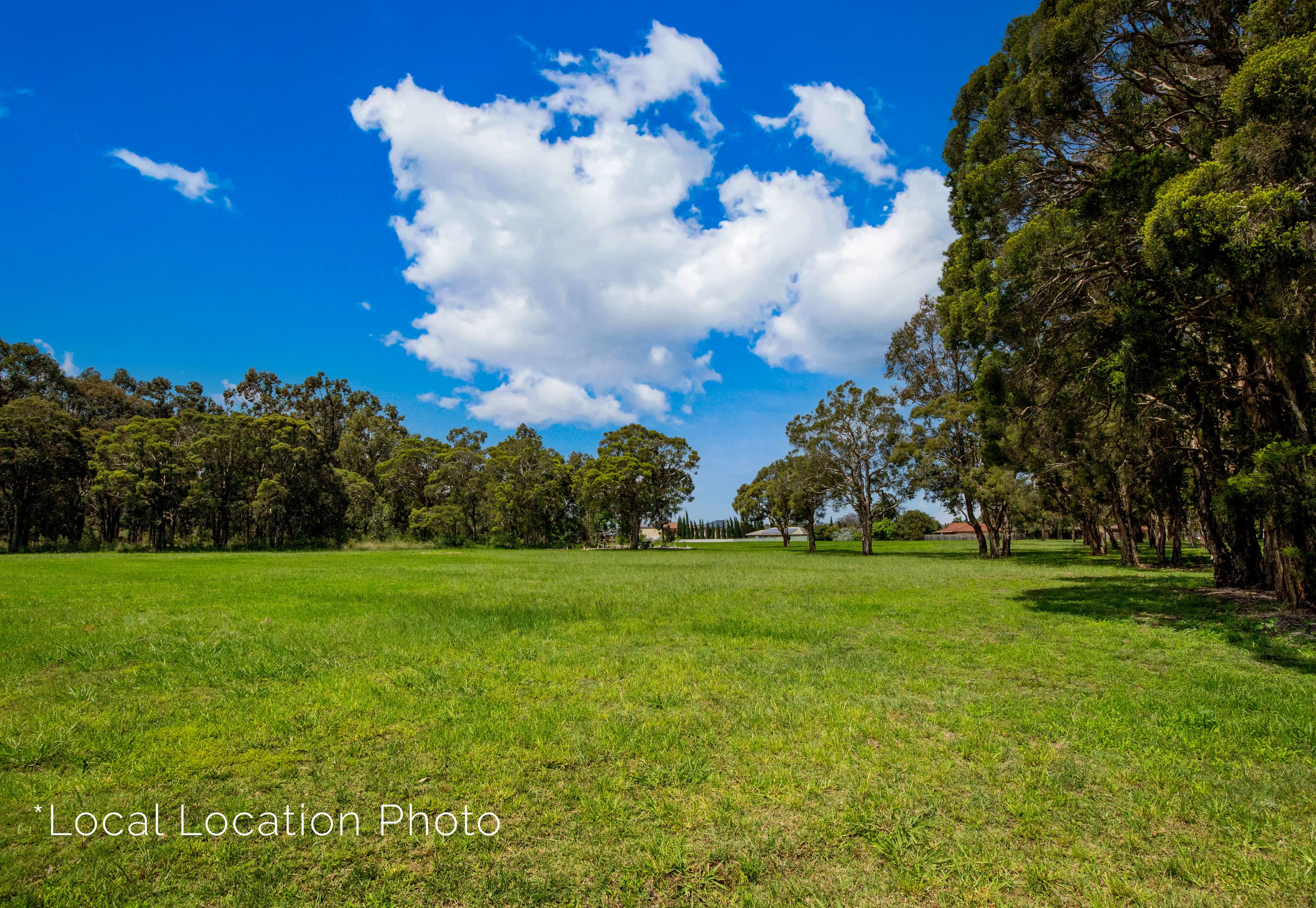 18 Rochford Street, ST CLAIR, St Clair - Thumbnail 6