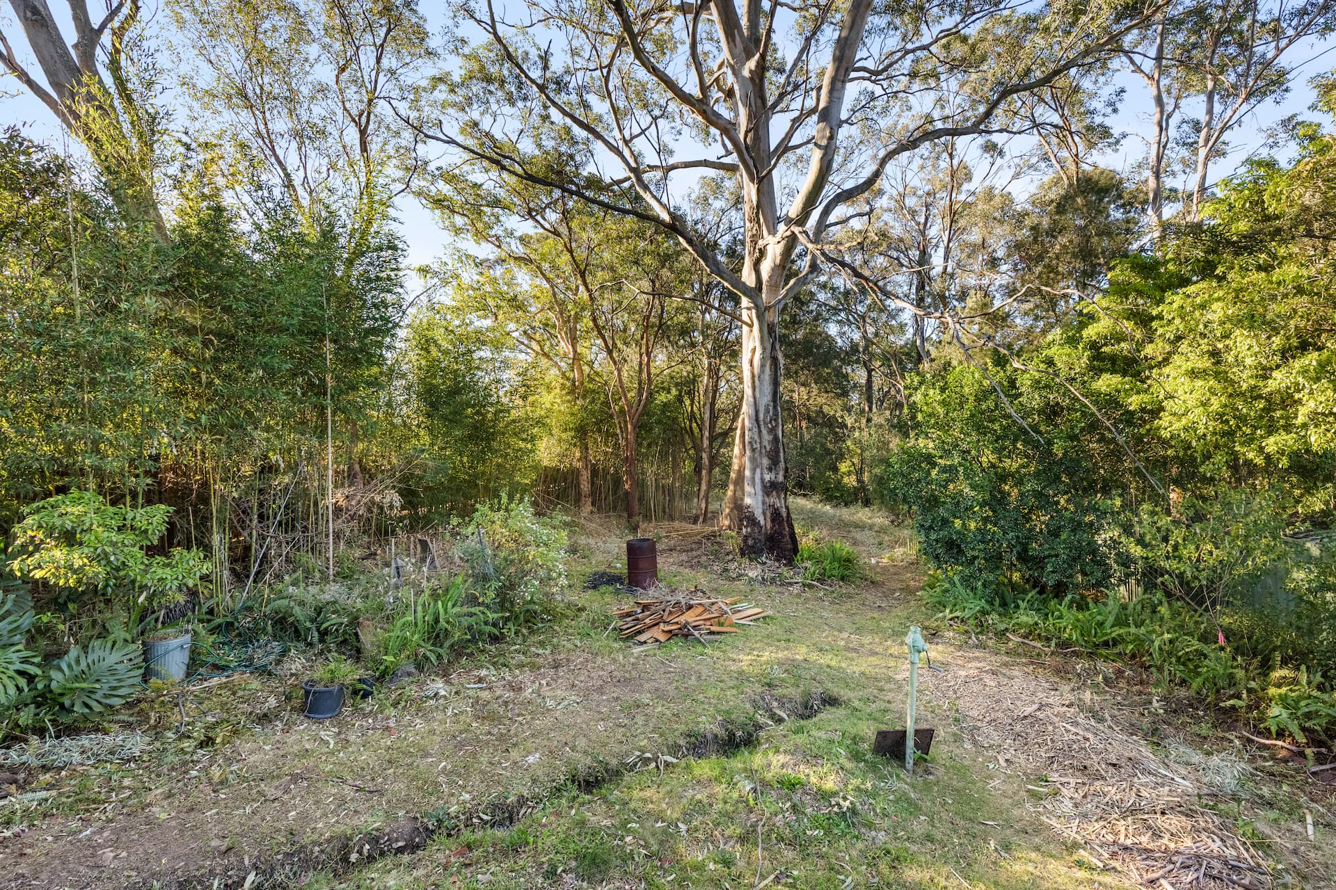 210 Rusden Road, MOUNT RIVERVIEW, Mount Riverview - Thumbnail 7
